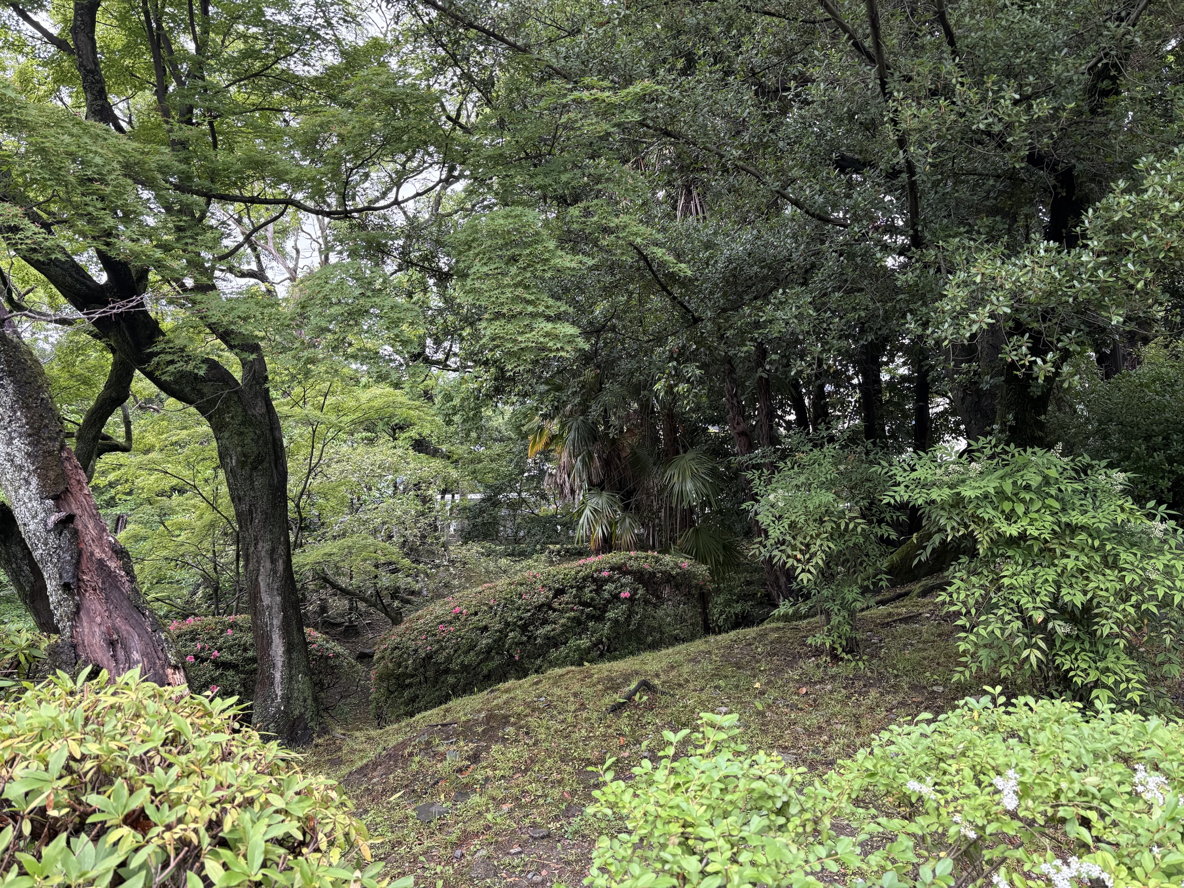 Gallery photo captured on May 25, 2025.