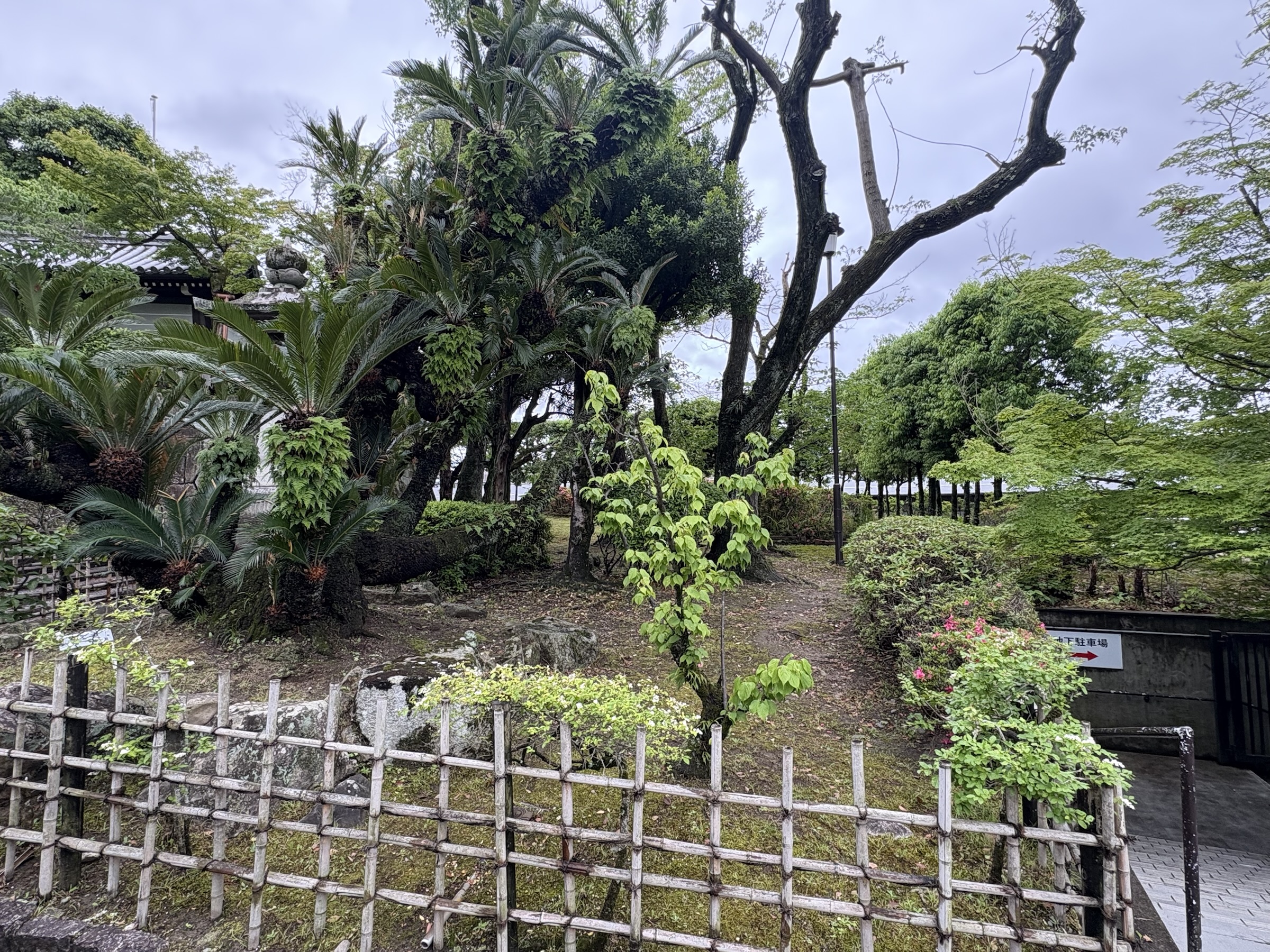 Gallery photo captured on May 25, 2025.