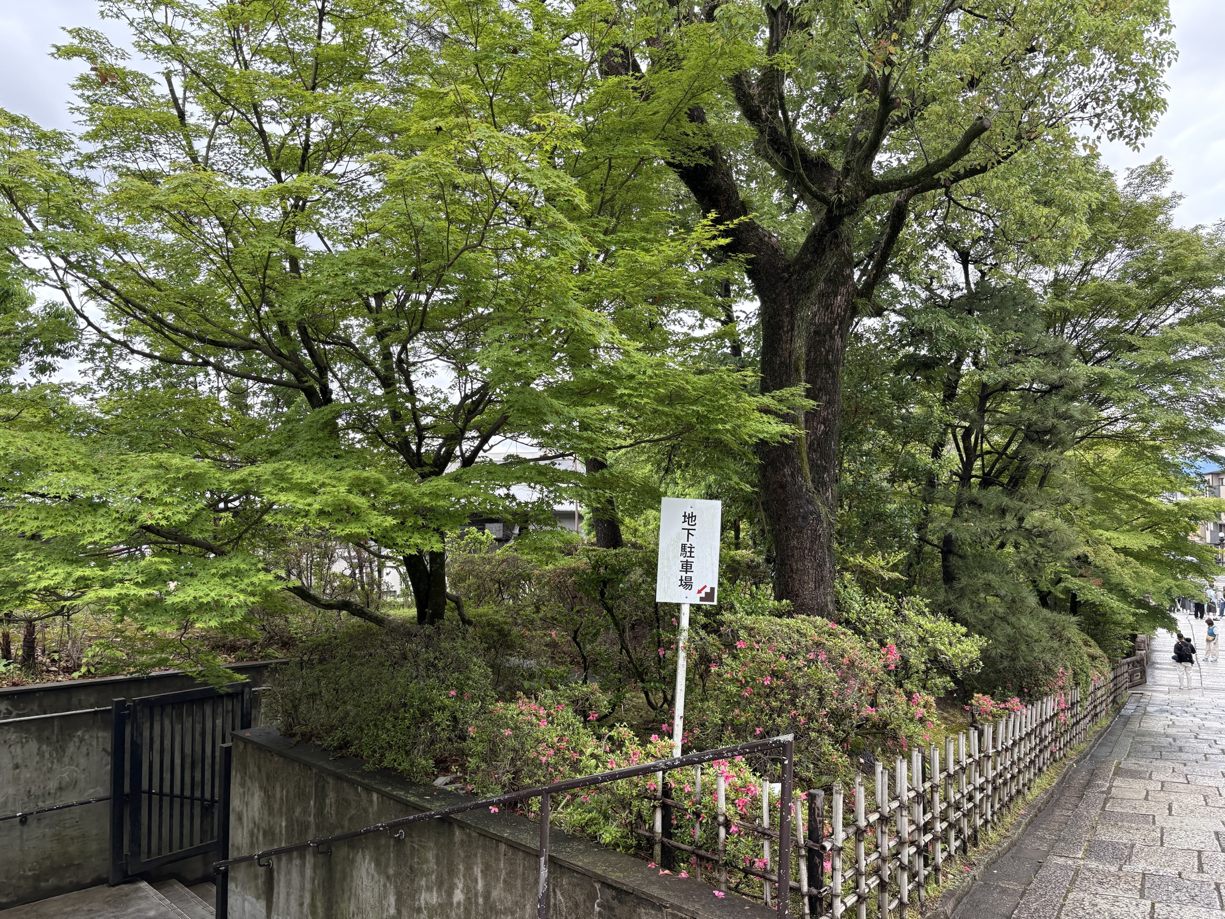 Gallery photo captured on May 25, 2025.