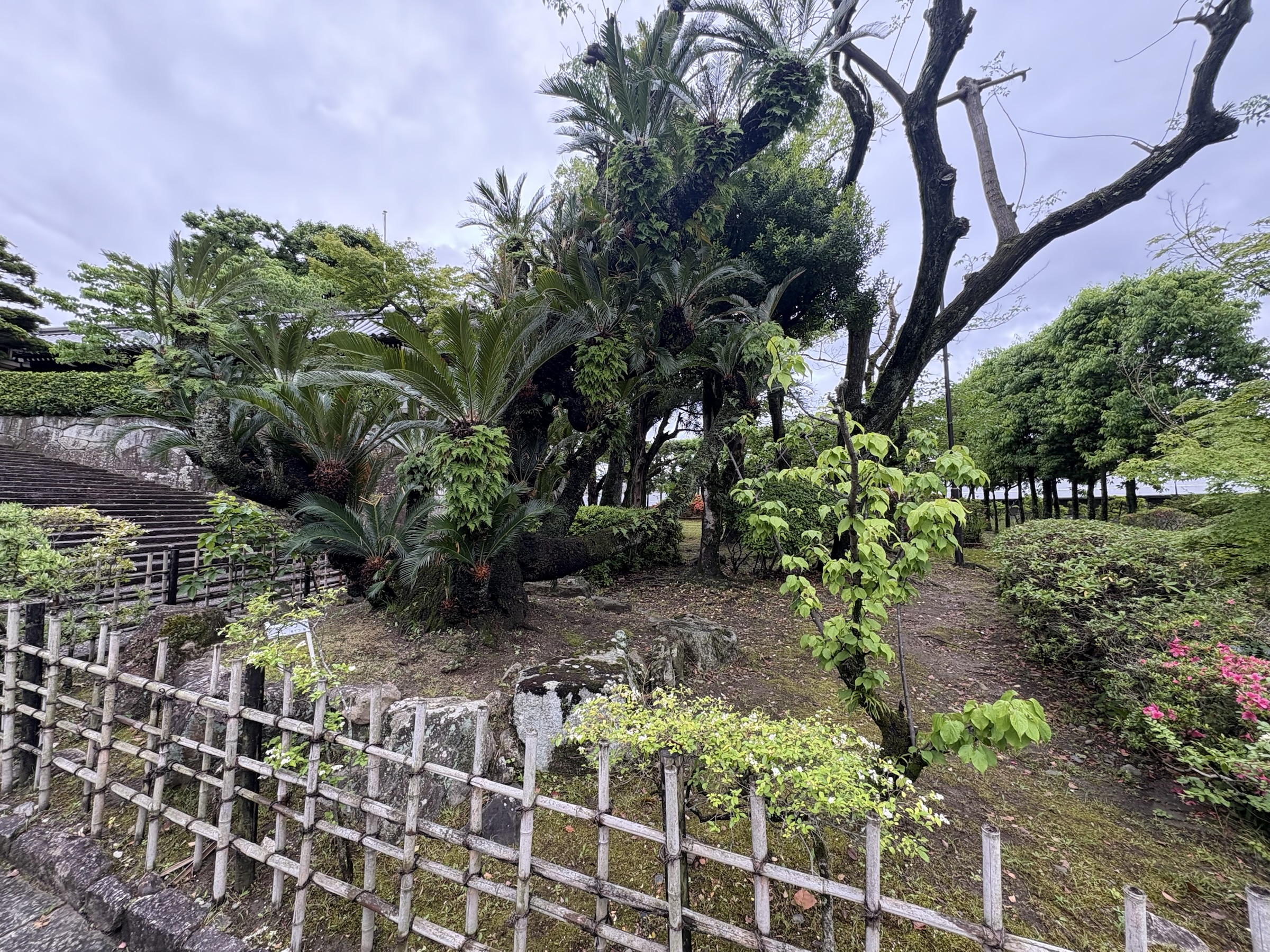 Gallery photo captured on May 25, 2025.