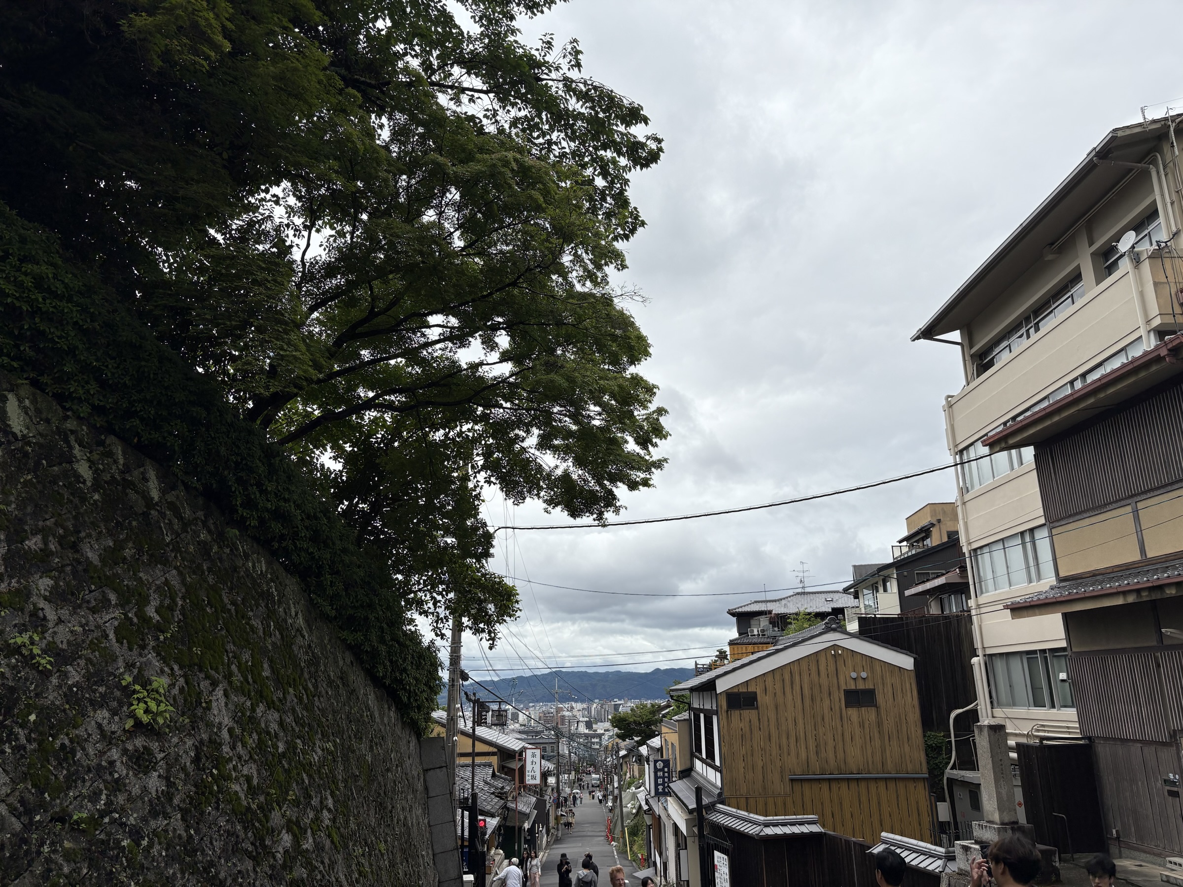 Gallery photo captured on May 25, 2025.