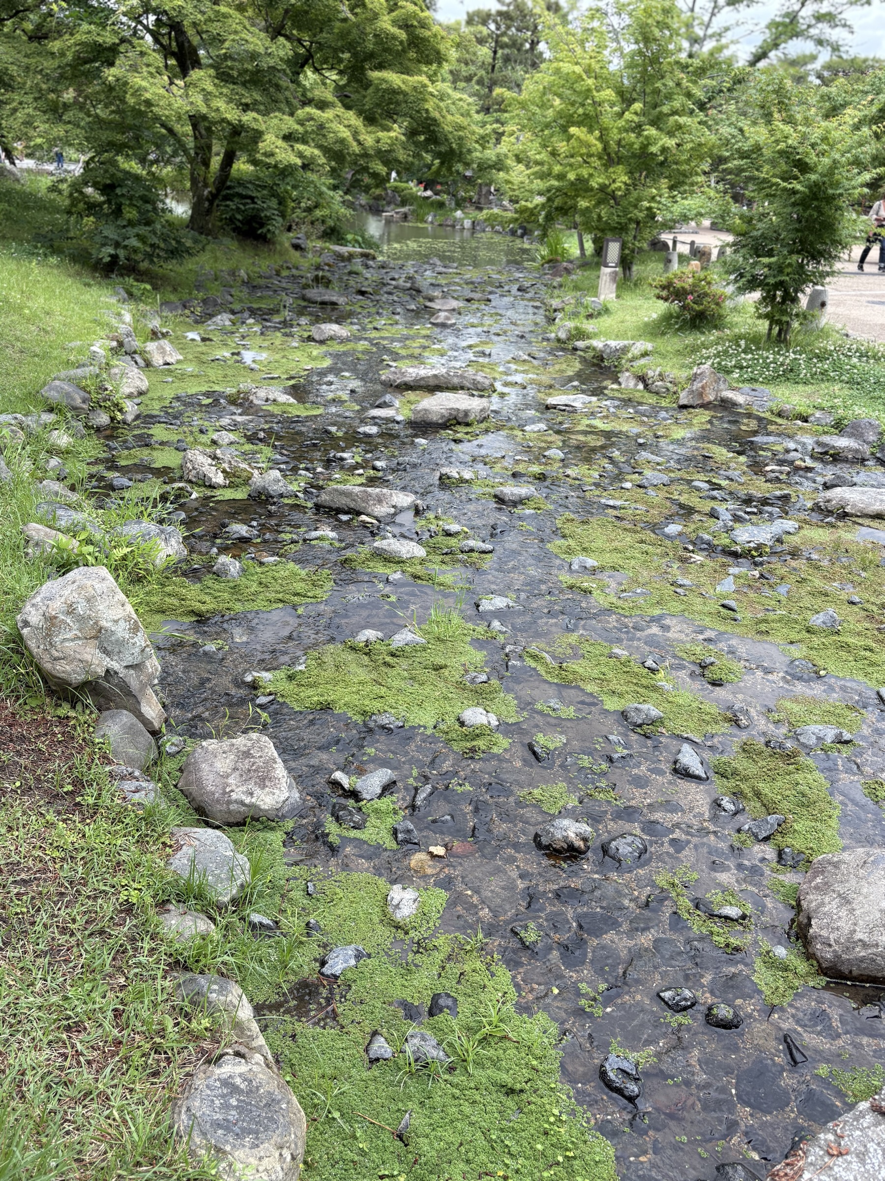 Gallery photo captured on May 25, 2025.