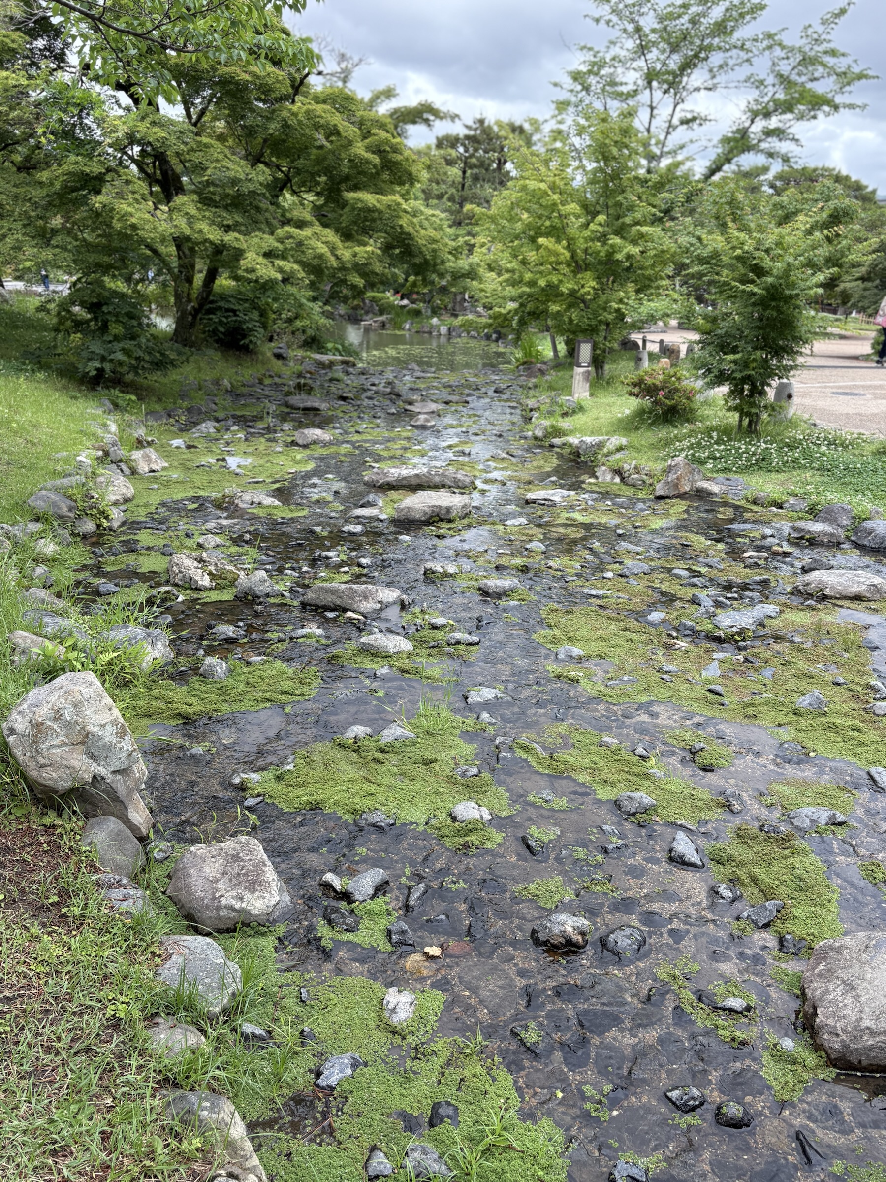 Gallery photo captured on May 25, 2025.