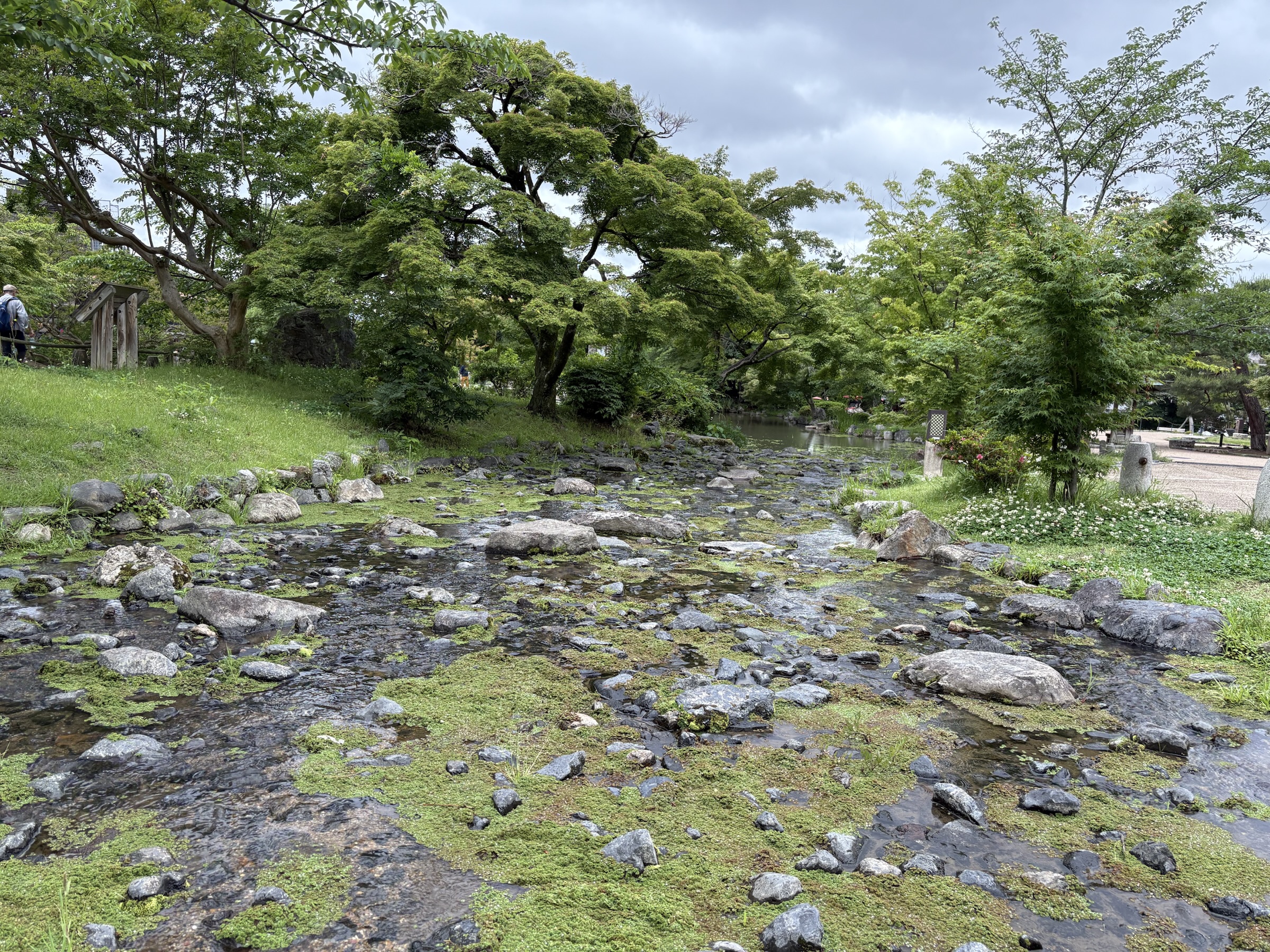 Gallery photo captured on May 25, 2025.