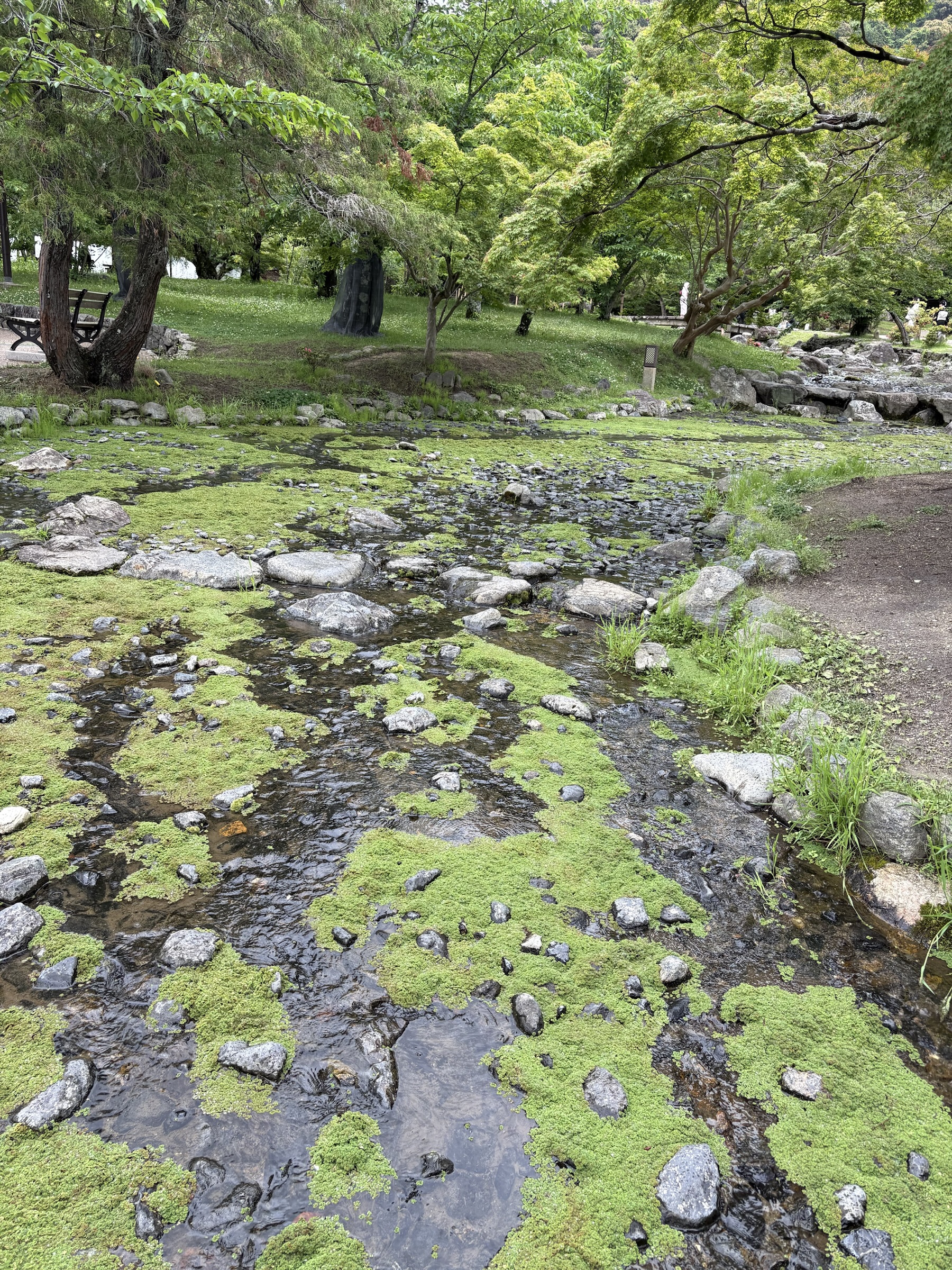 Gallery photo captured on May 25, 2025.