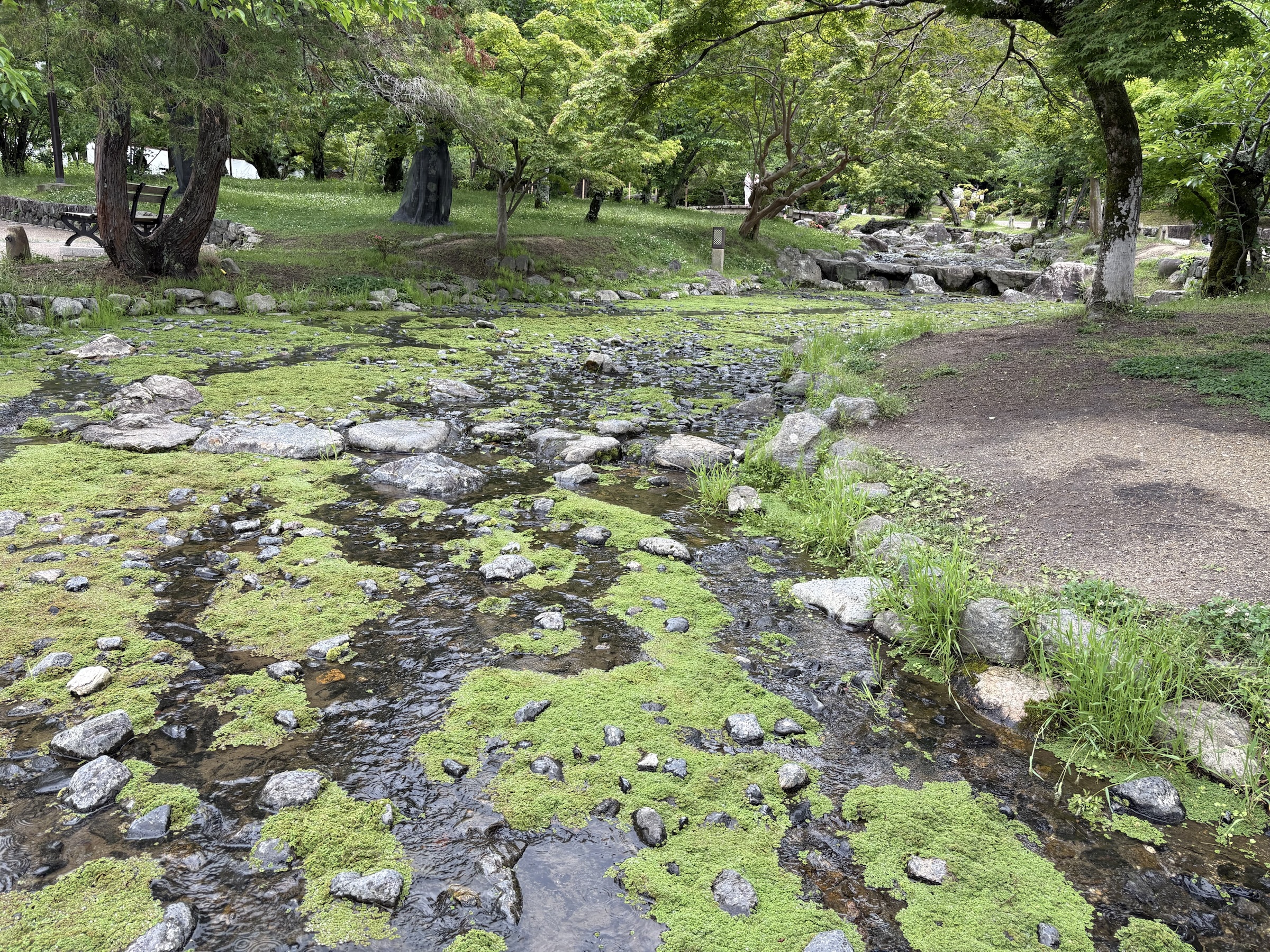 Gallery photo captured on May 25, 2025.