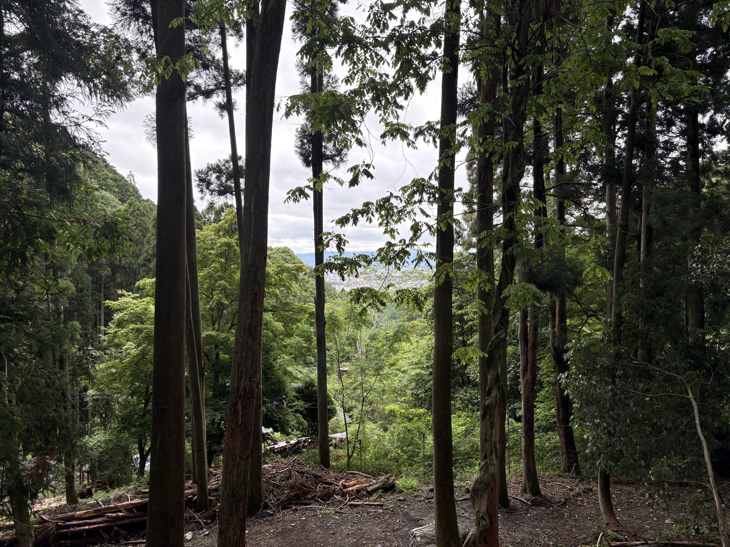 Gallery photo captured on May 25, 2025.