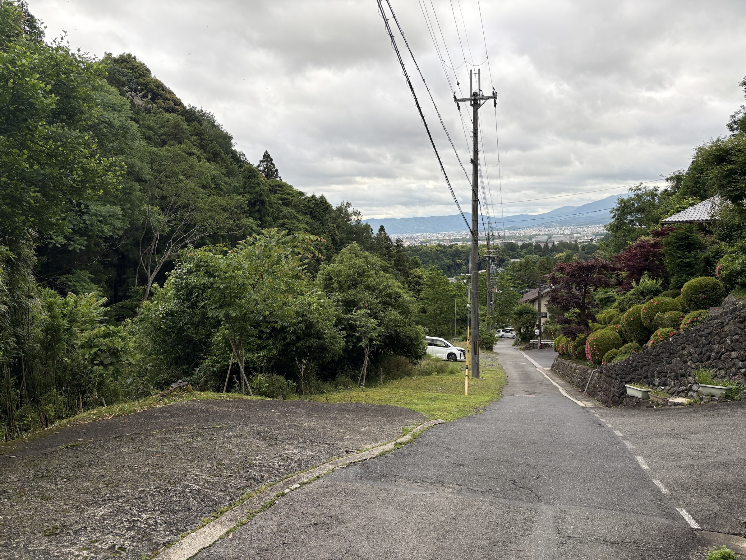 Gallery photo captured on May 25, 2025.