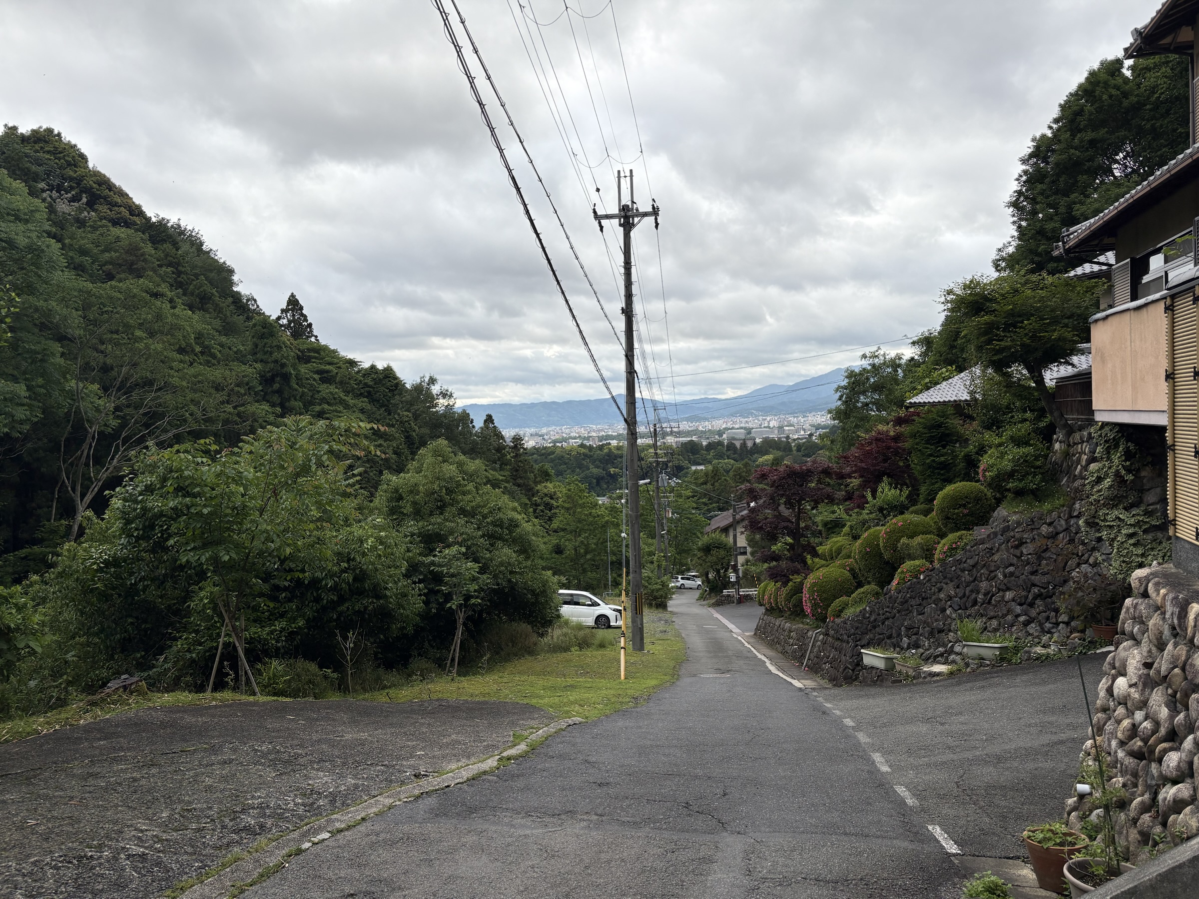 Gallery photo captured on May 25, 2025.