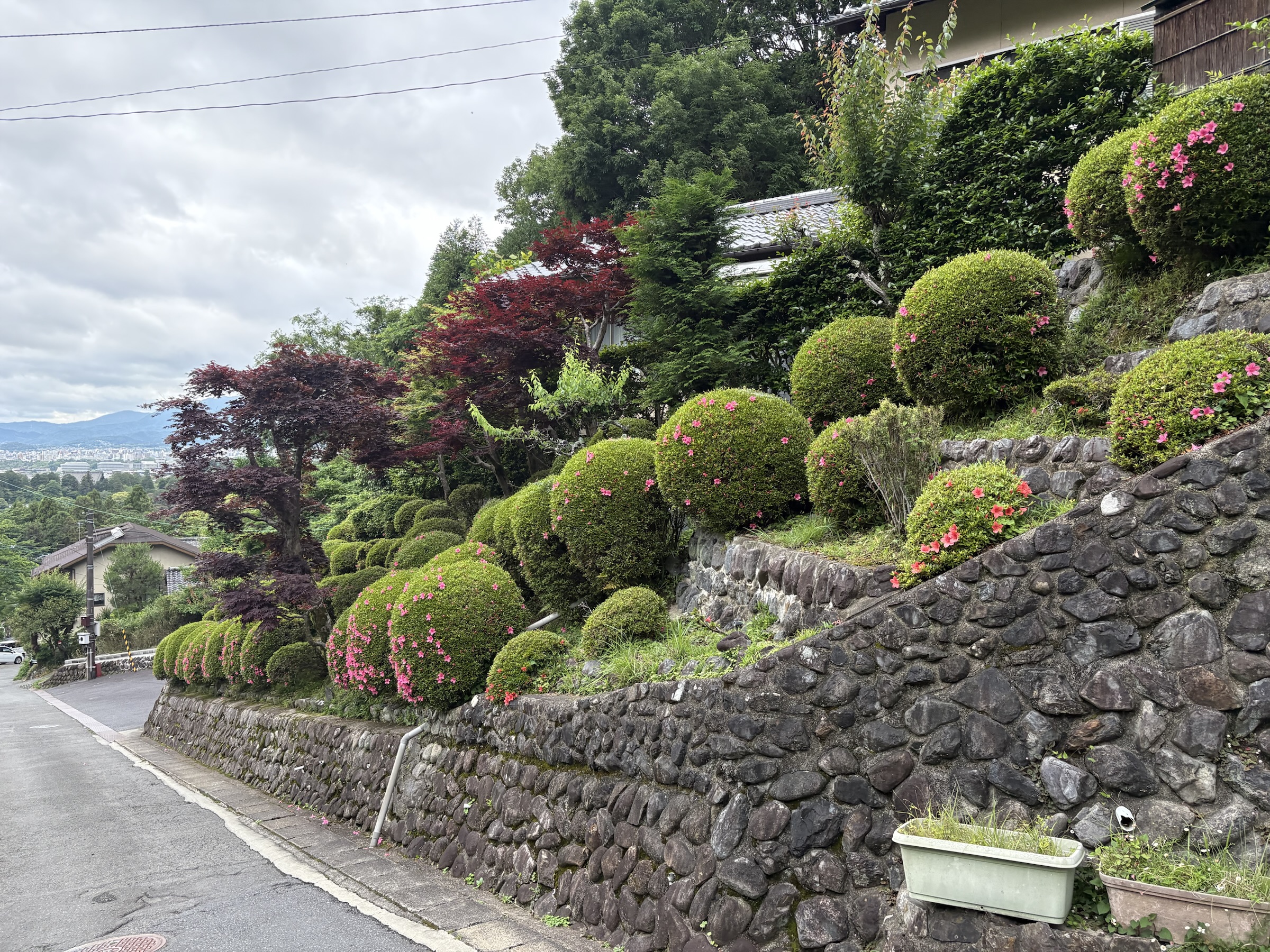 Gallery photo captured on May 25, 2025.