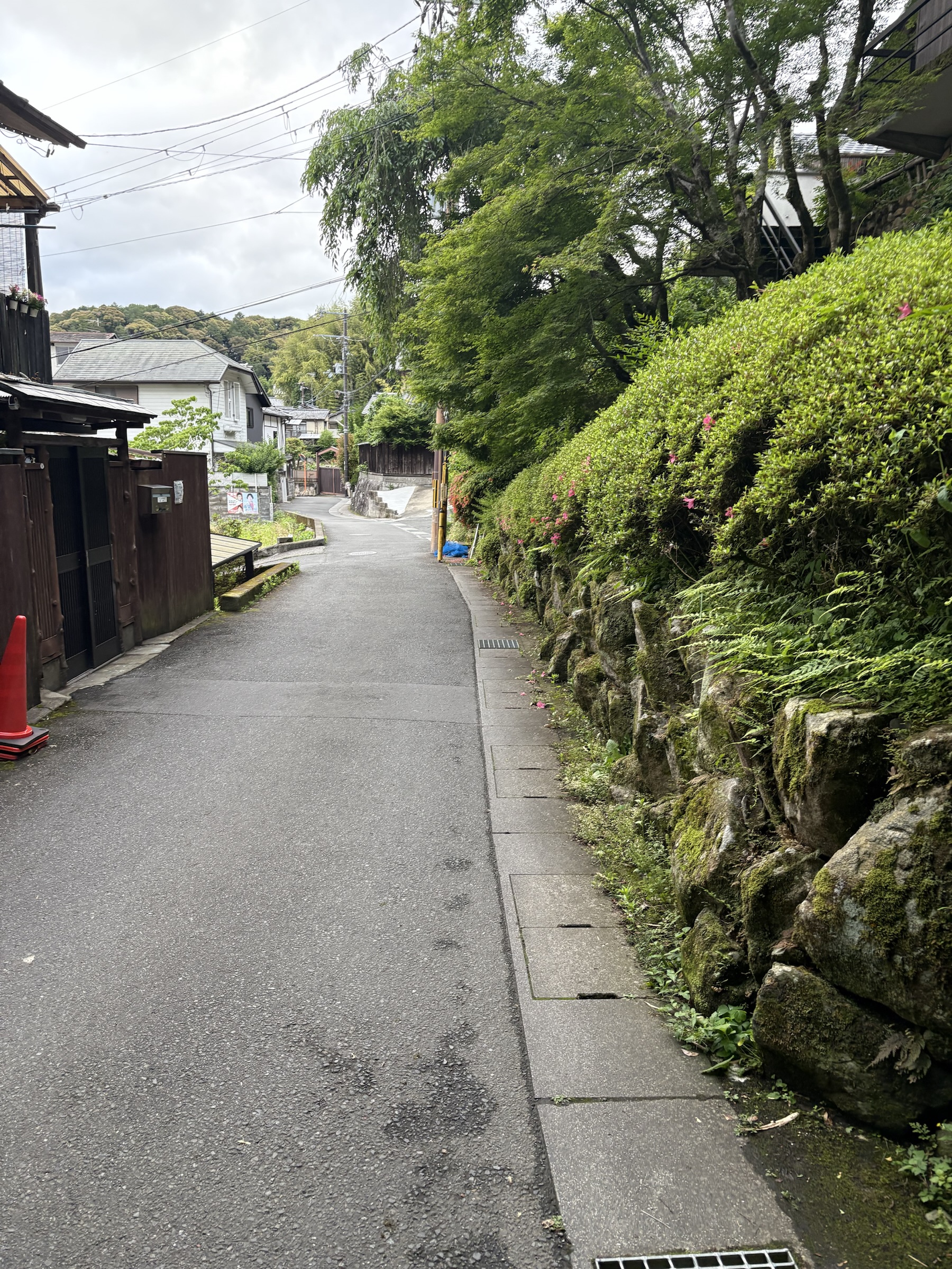 Gallery photo captured on May 25, 2025.