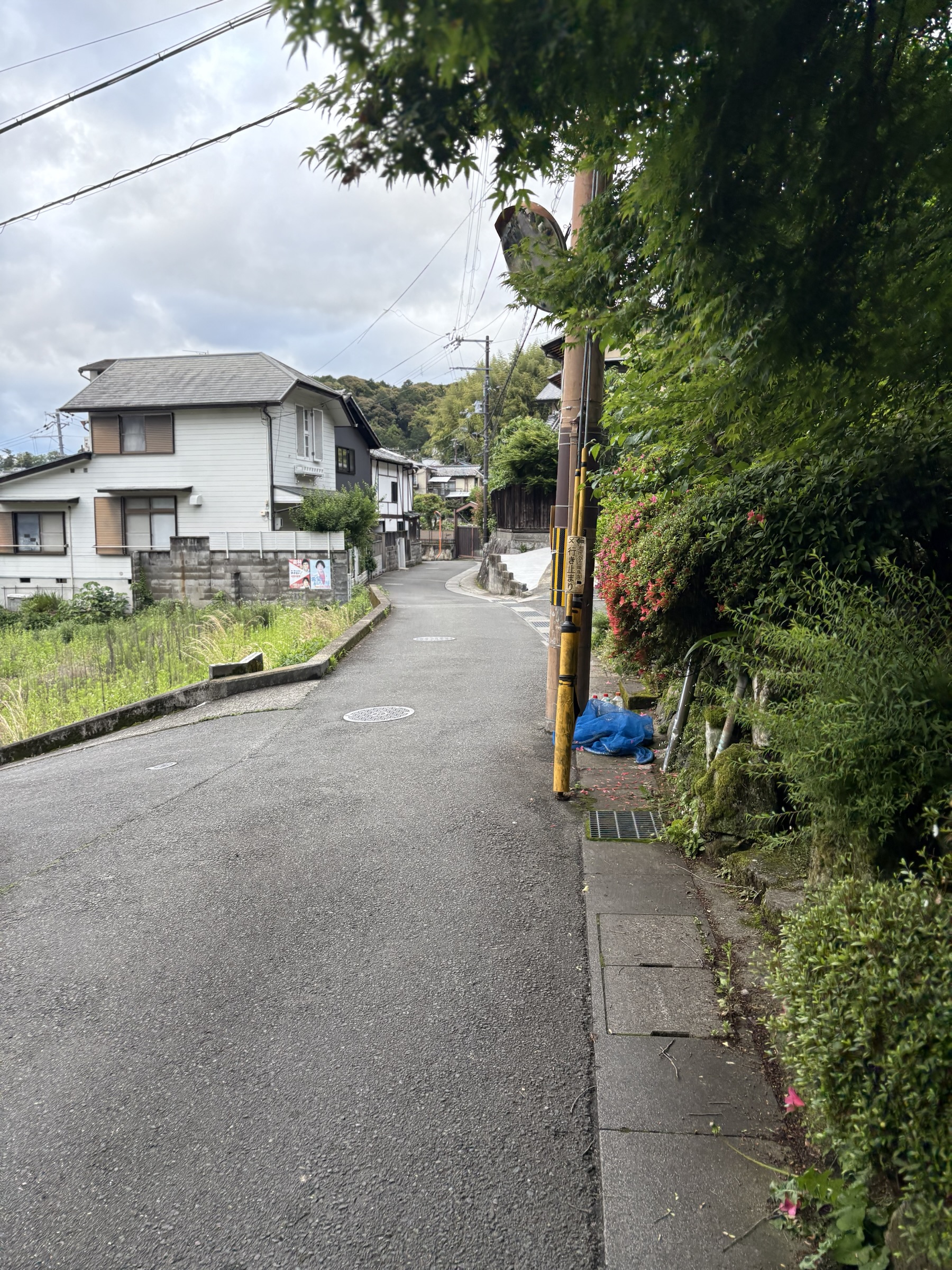 Gallery photo captured on May 25, 2025.