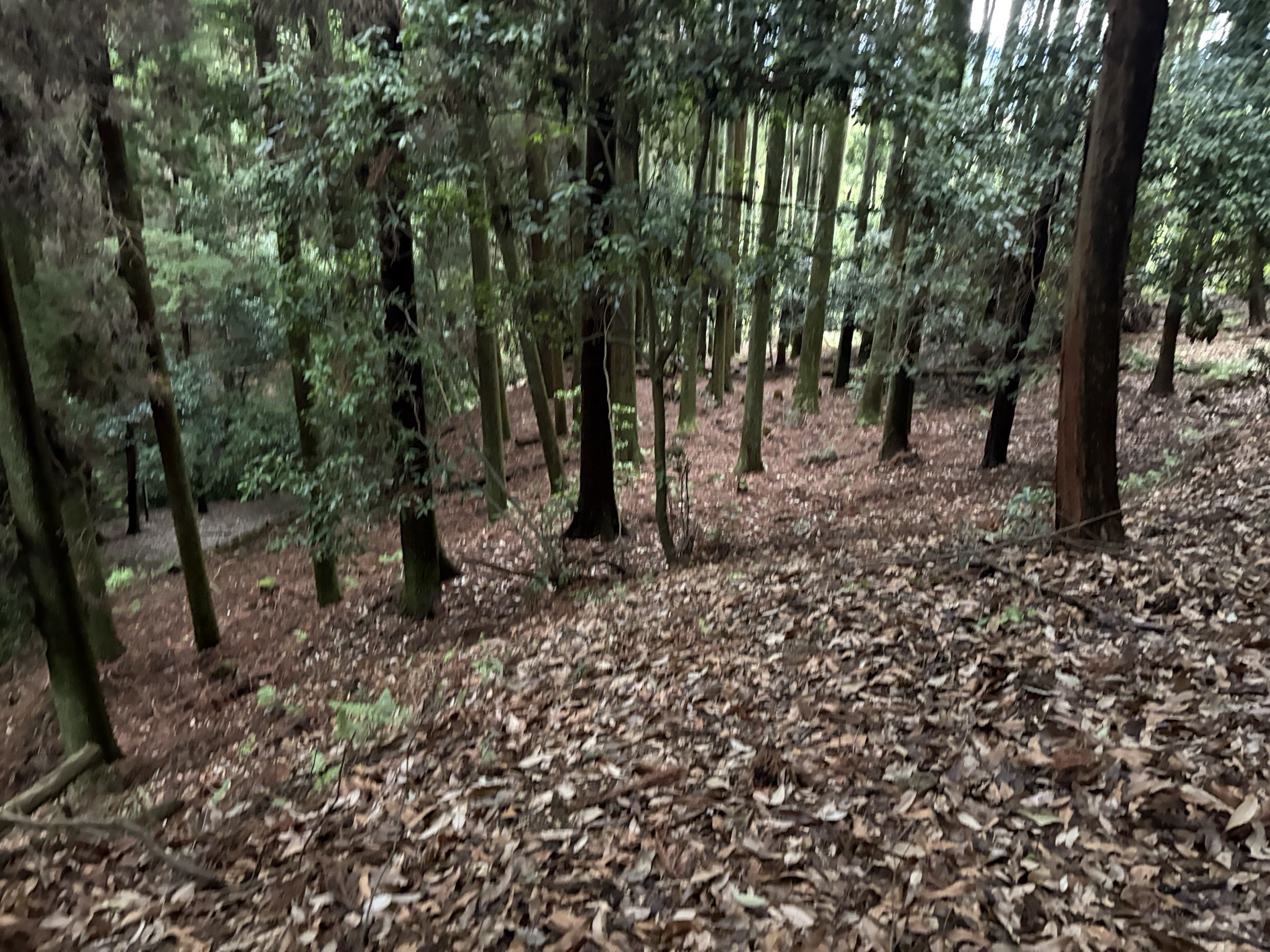 Gallery photo captured on May 25, 2025.