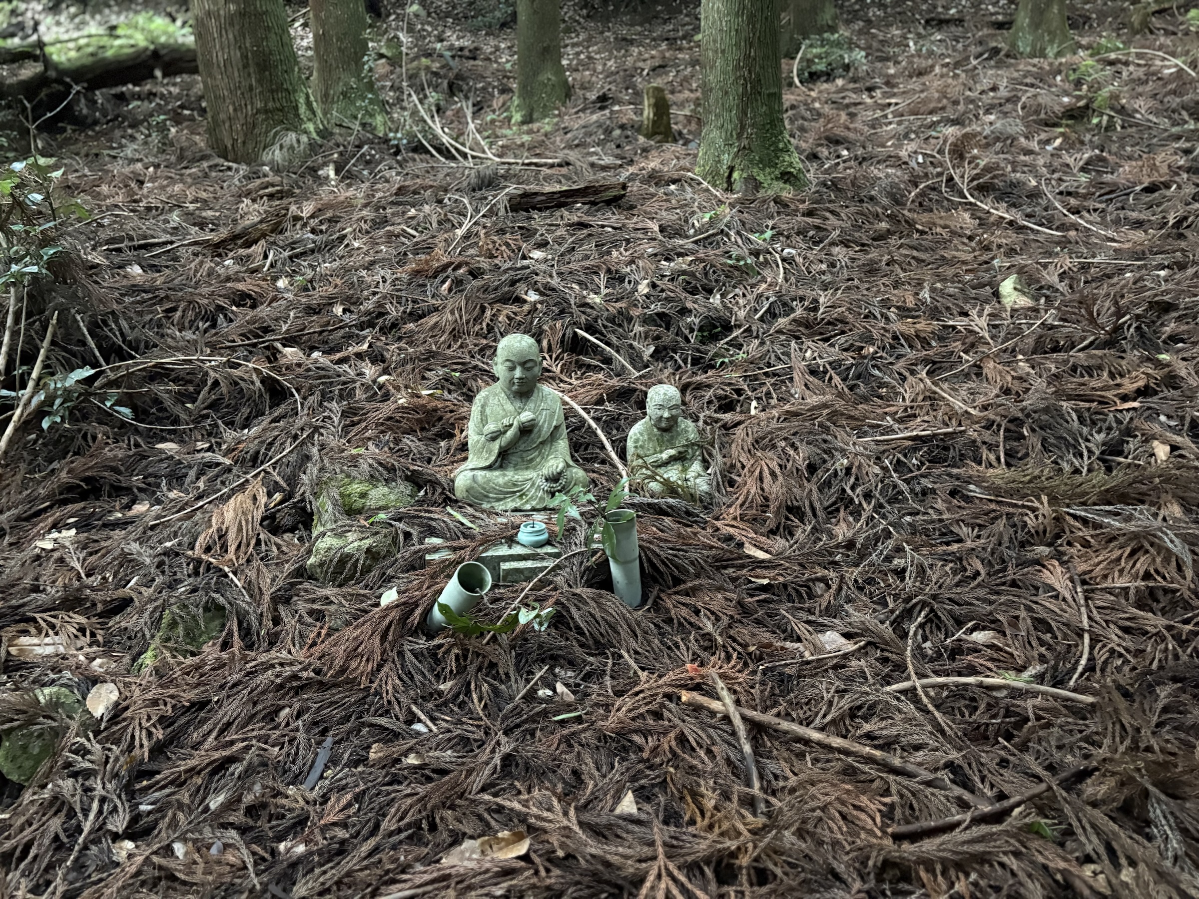 Gallery photo captured on May 25, 2025.