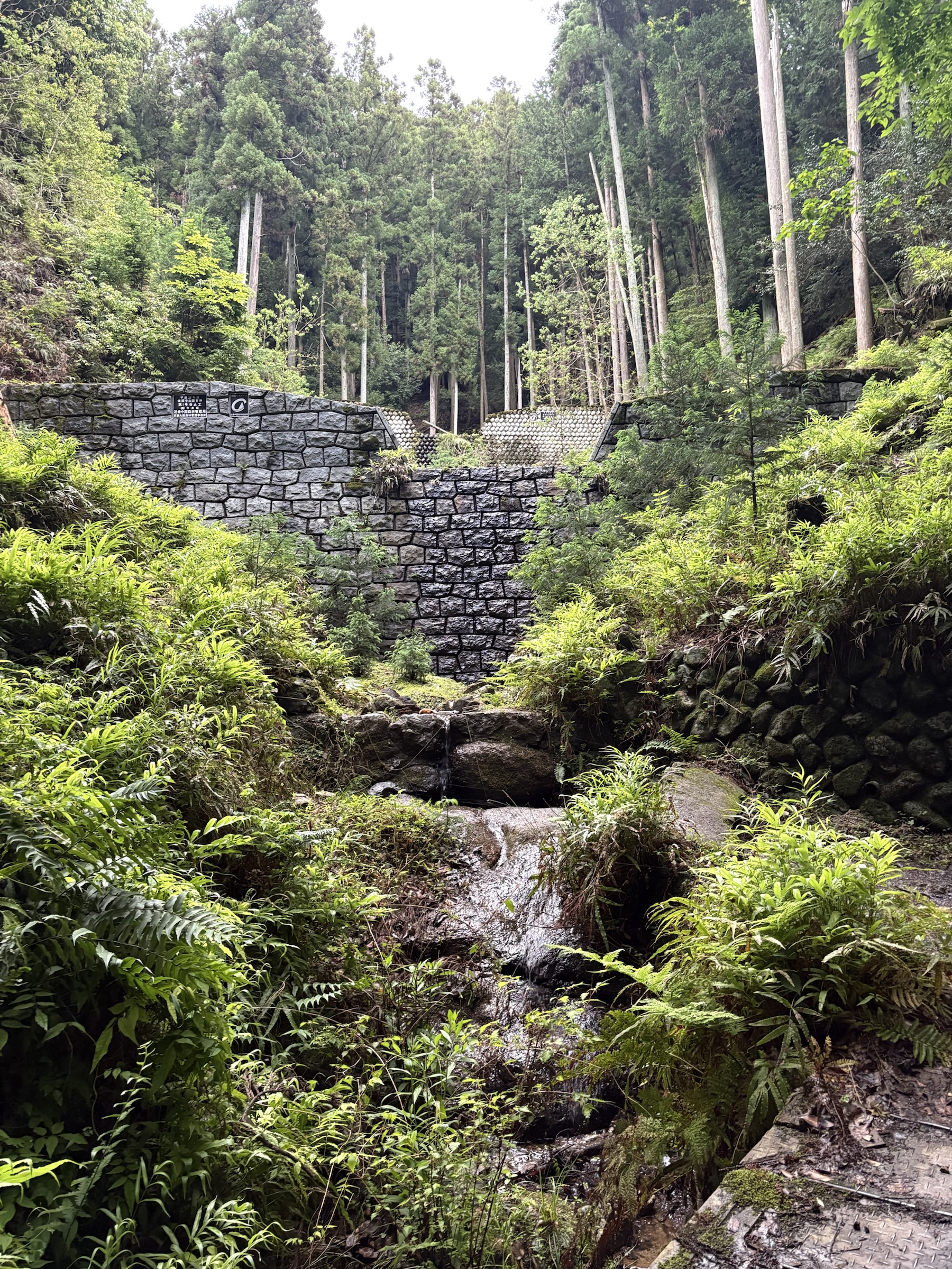 Gallery photo captured on May 25, 2025.