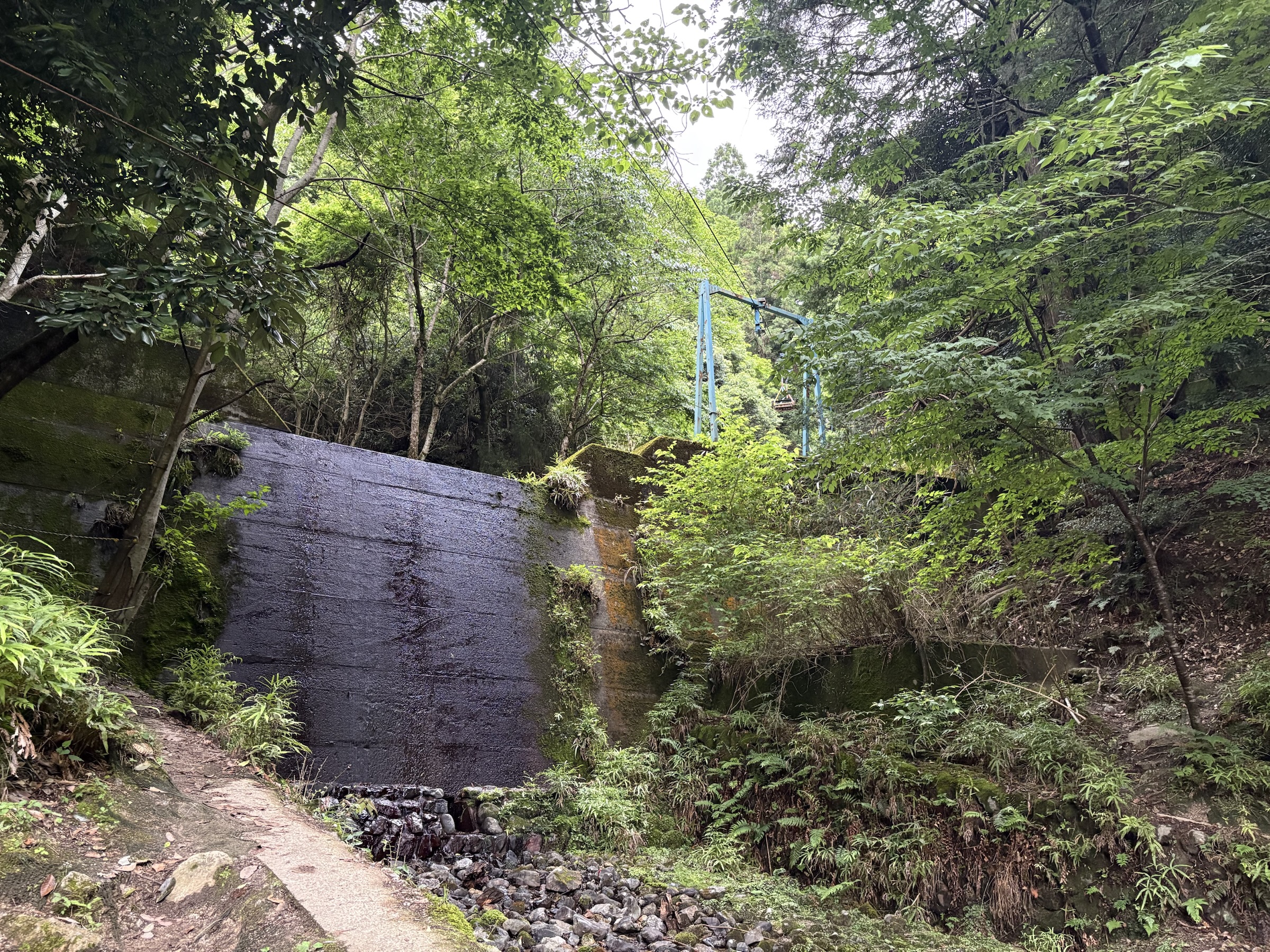 Gallery photo captured on May 25, 2025.