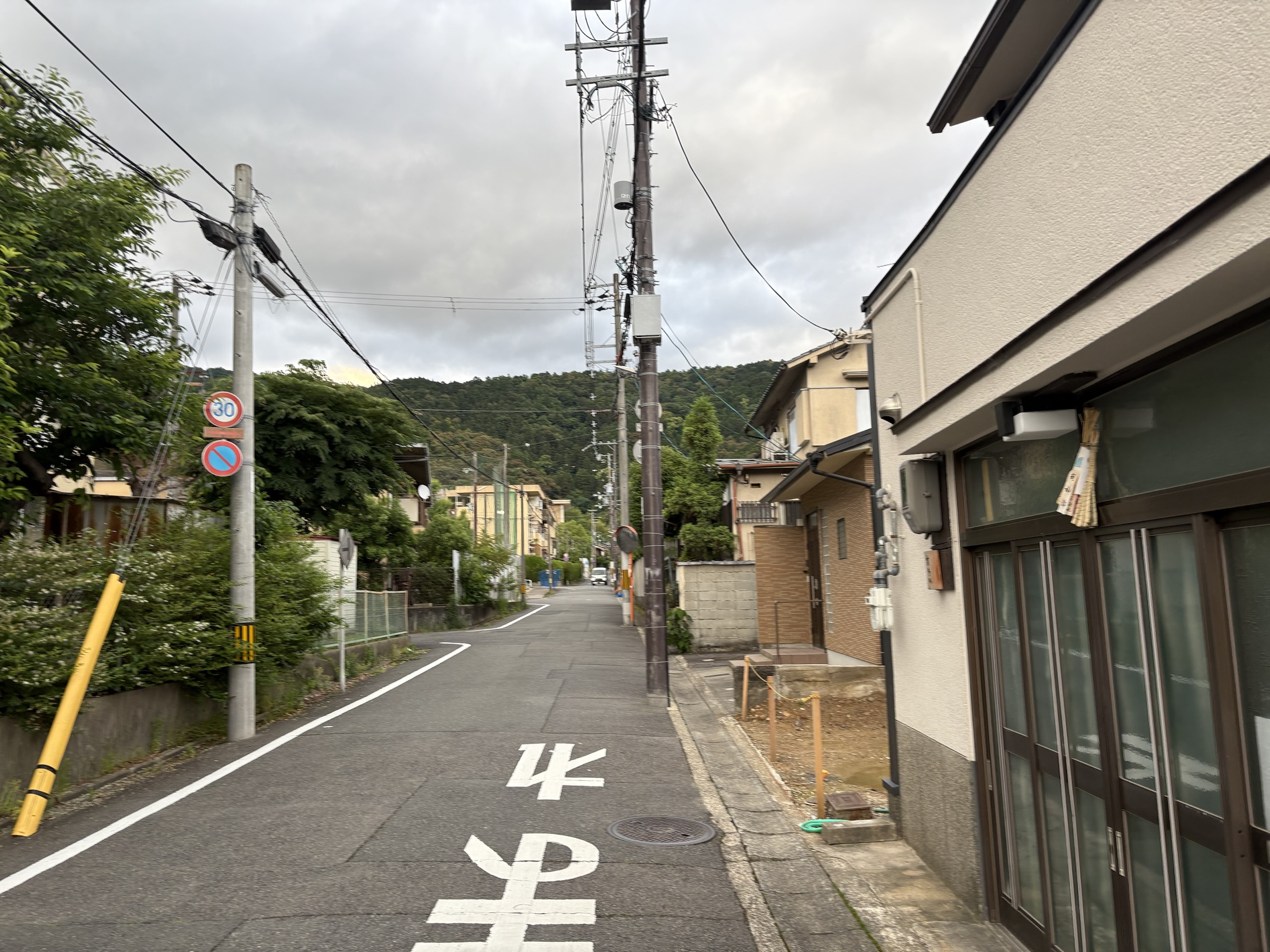 Gallery photo captured on May 25, 2025.