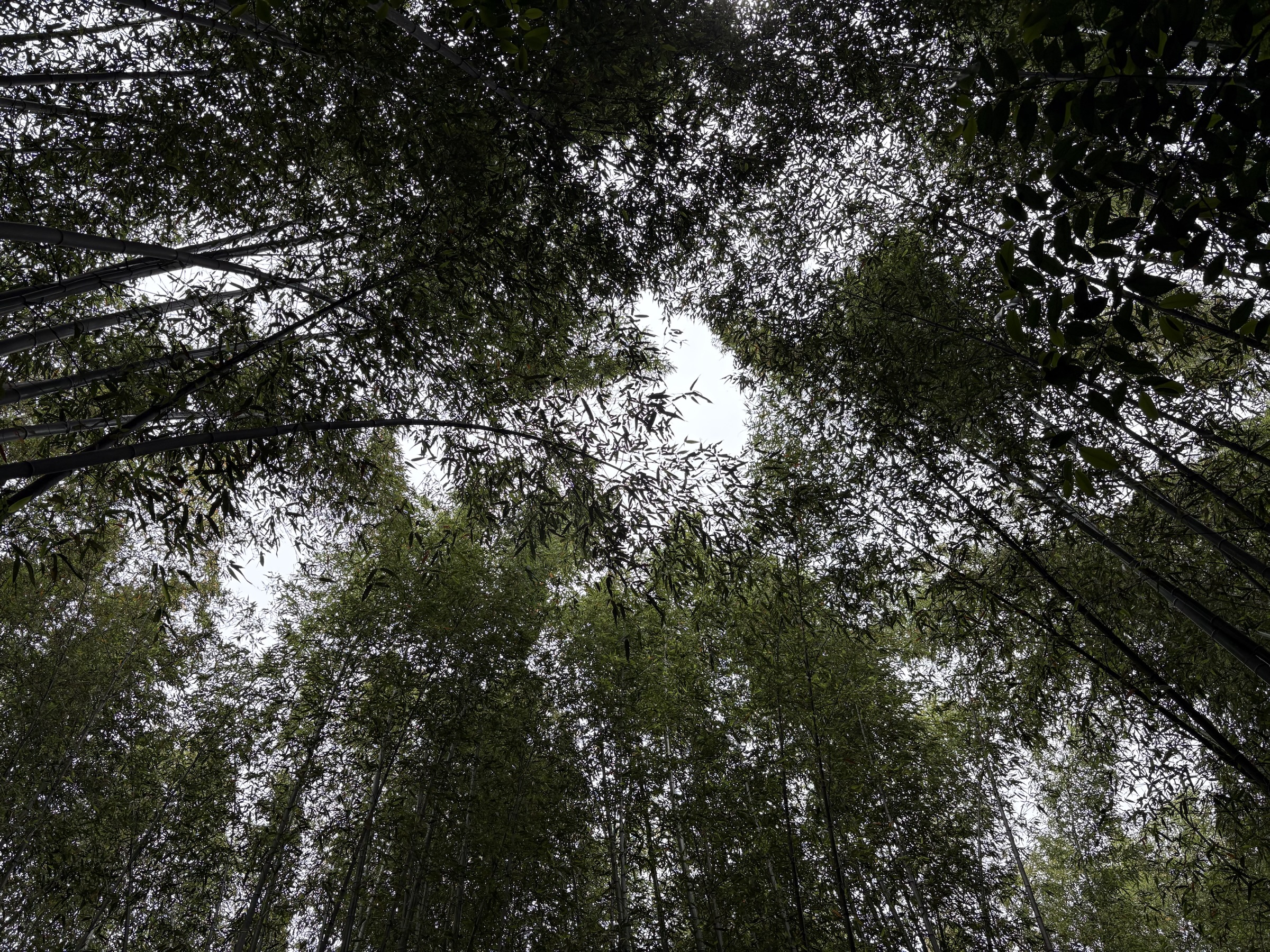 Gallery photo captured on May 26, 2025.