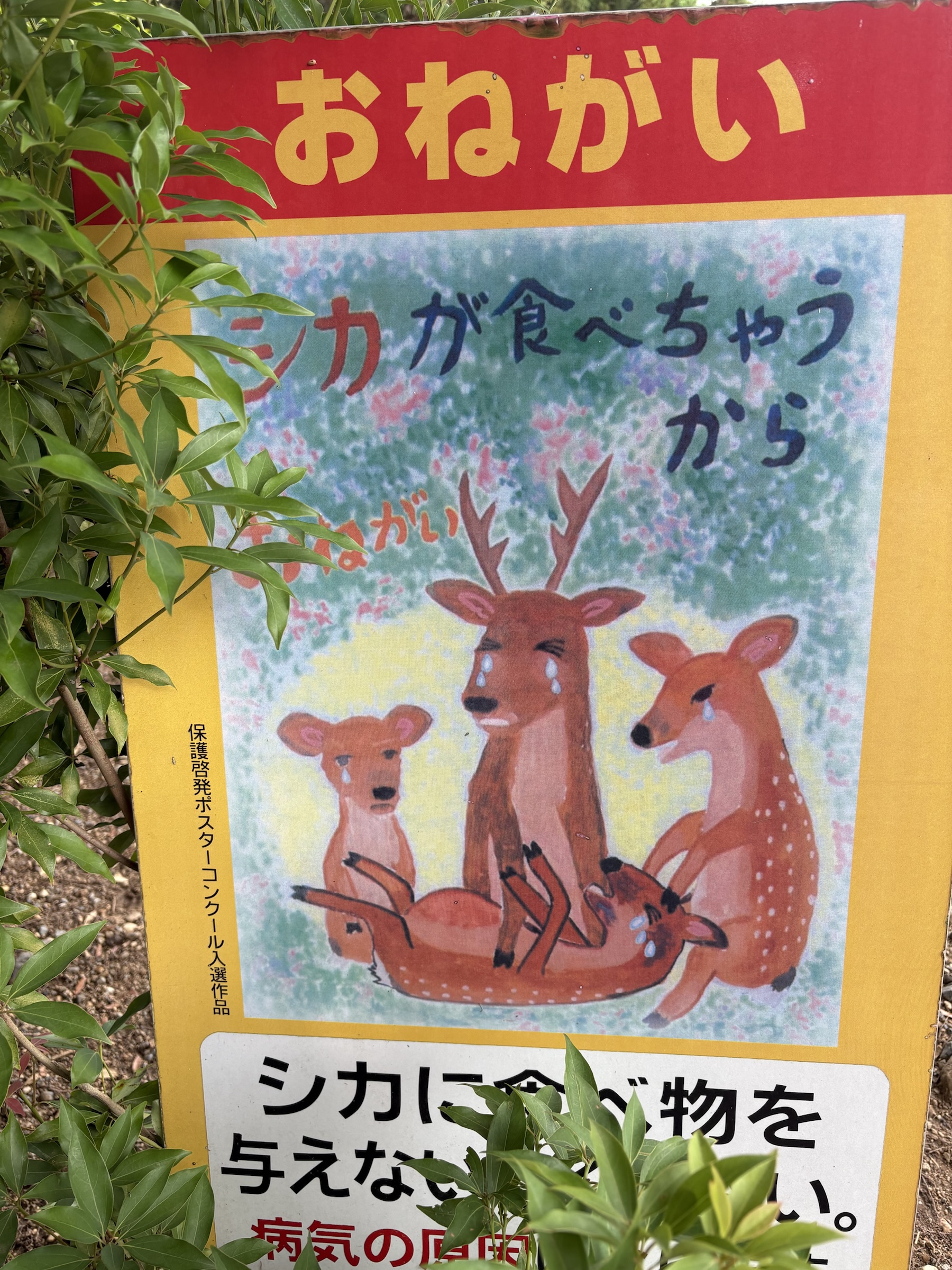 Gallery photo captured on May 27, 2025.