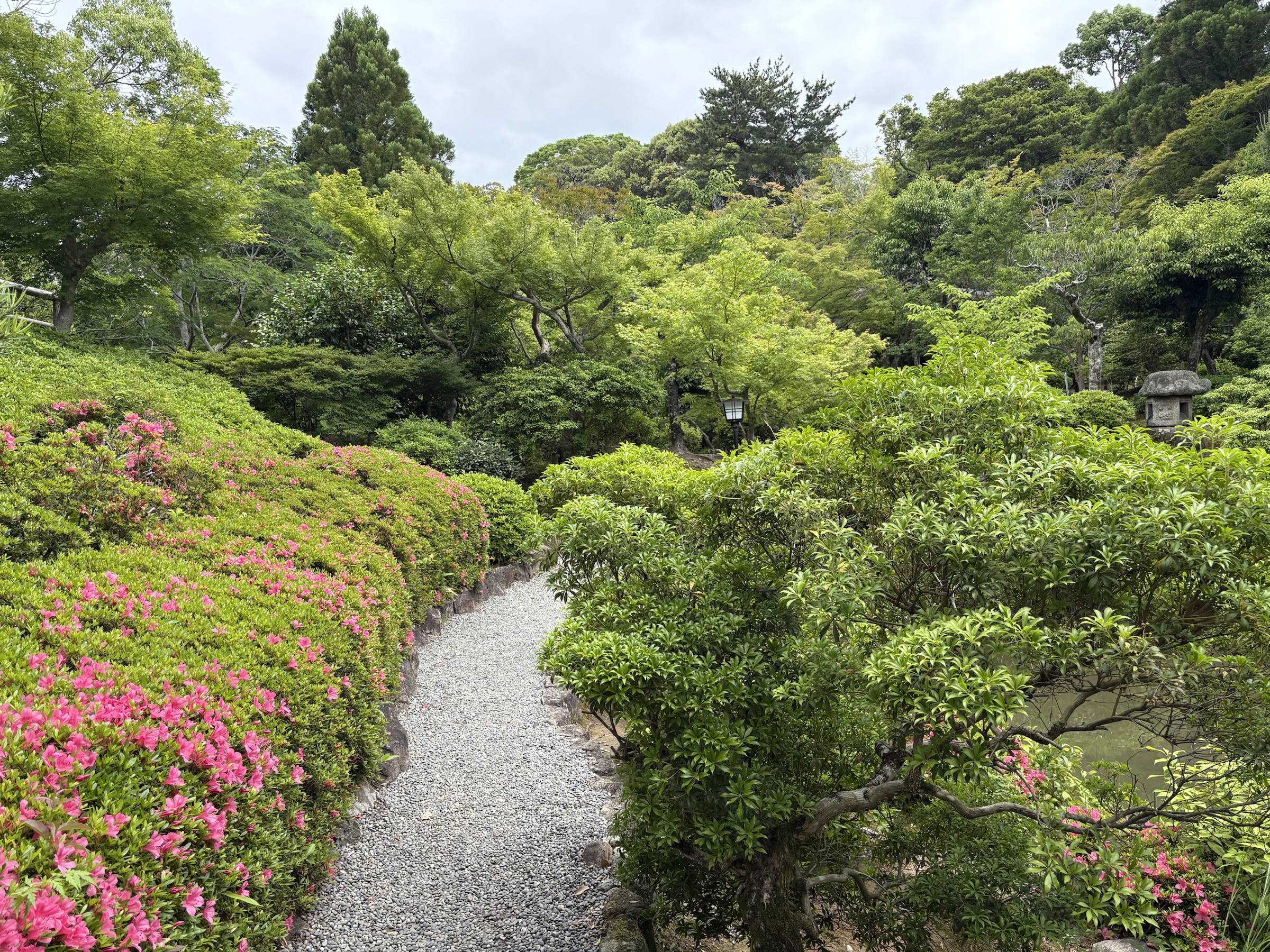 Gallery photo captured on May 27, 2025.