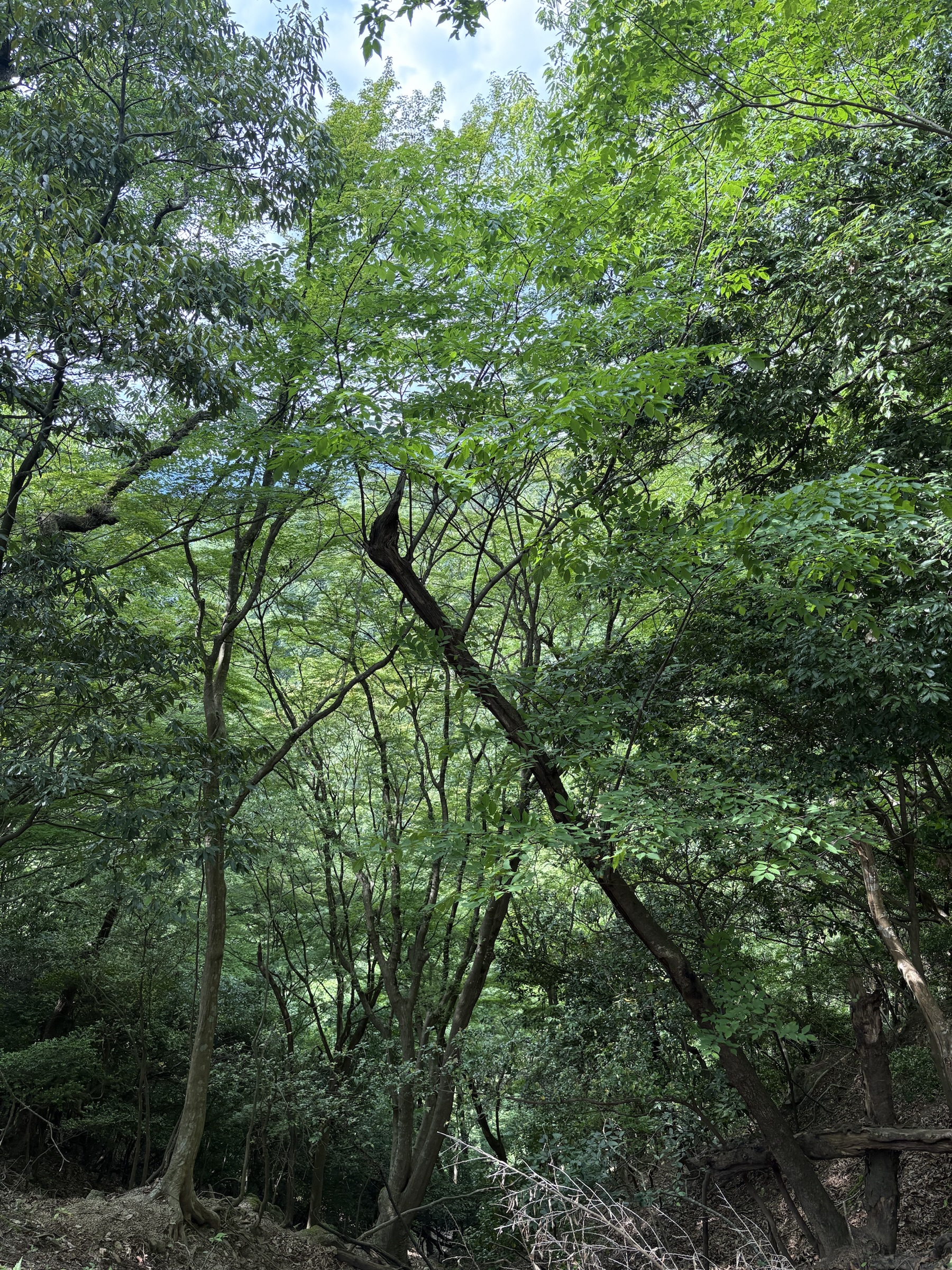 Gallery photo captured on May 28, 2025.