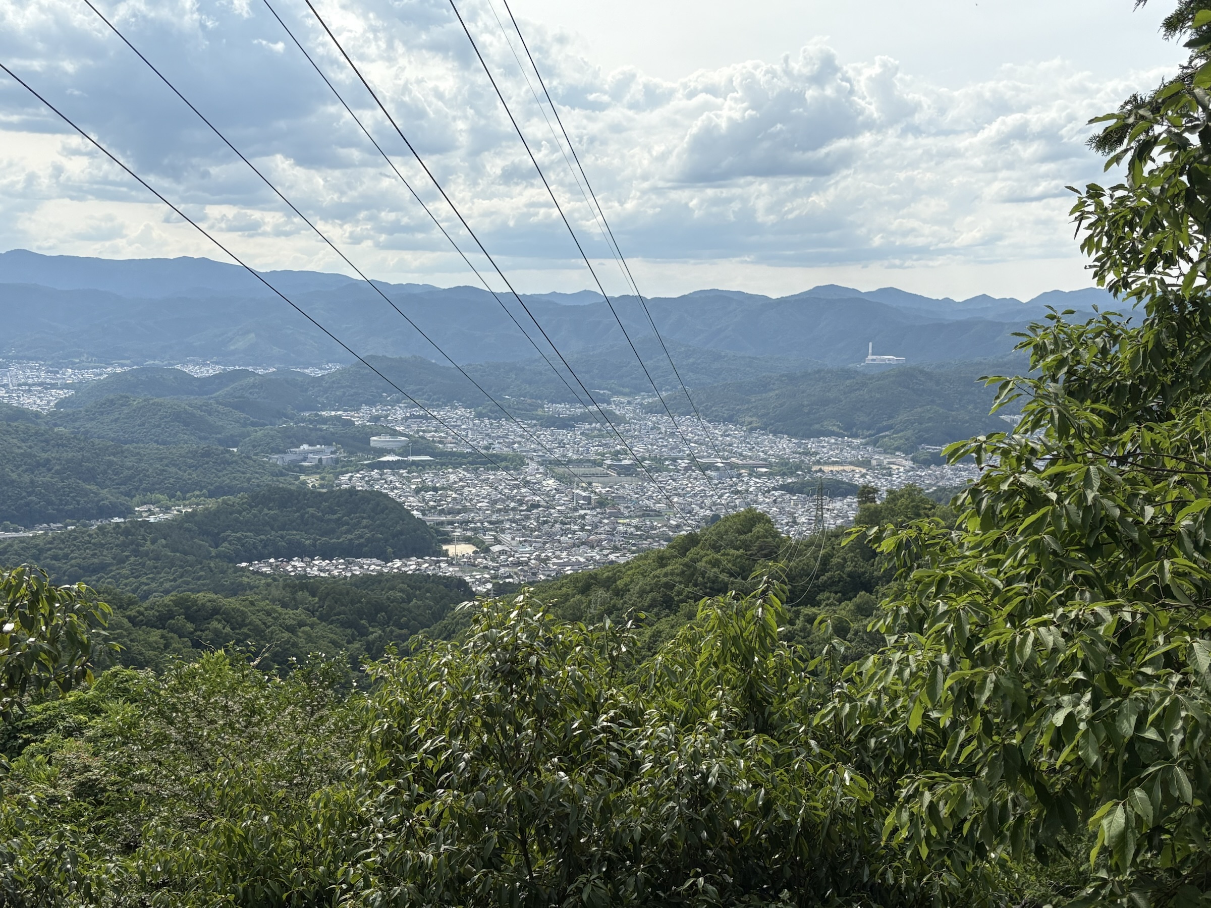 Gallery photo captured on May 28, 2025.