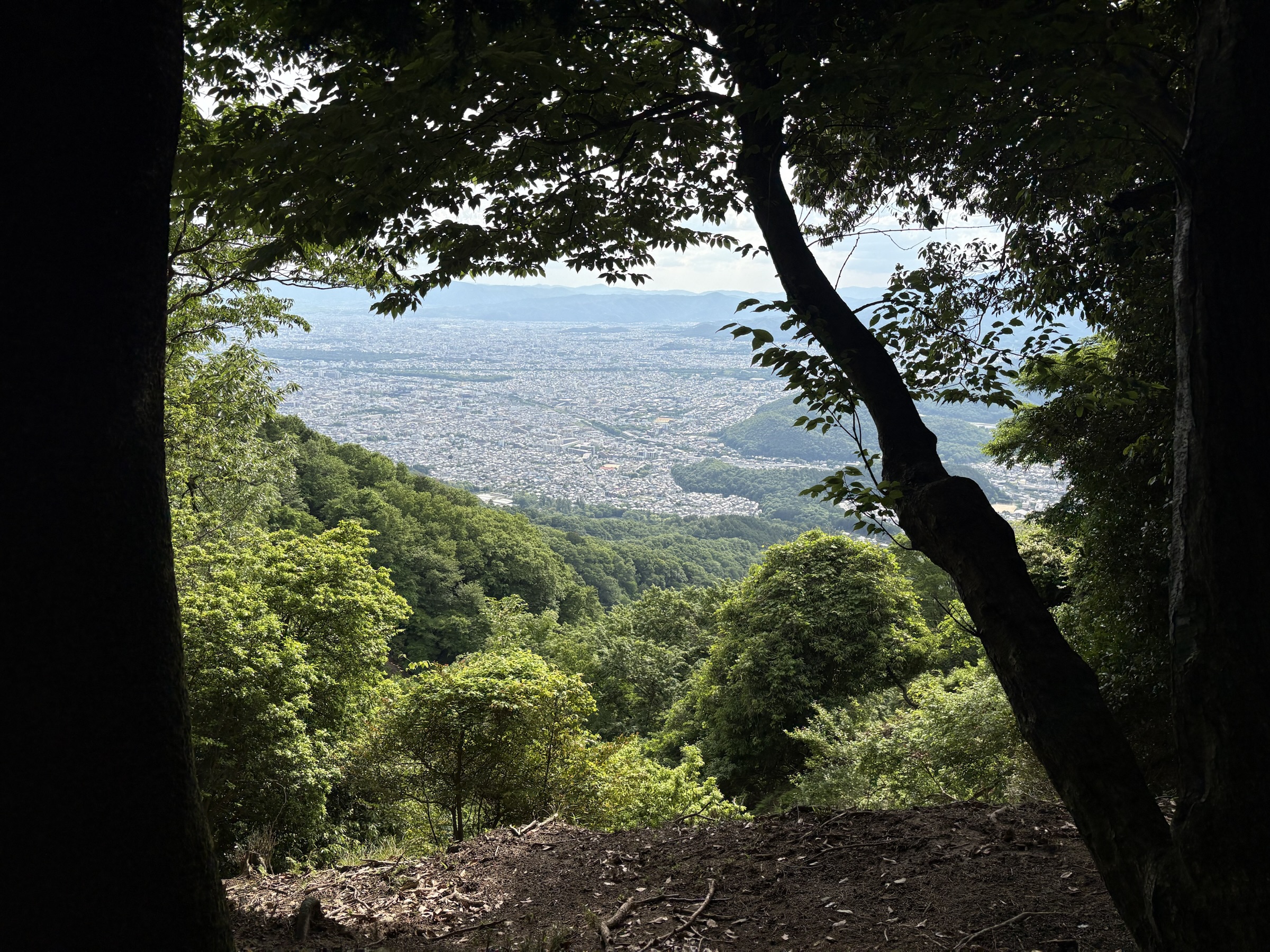 Gallery photo captured on May 28, 2025.