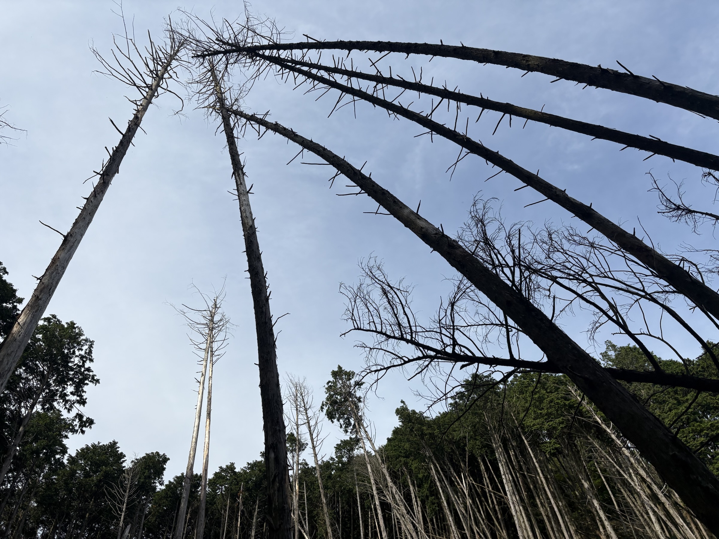 Gallery photo captured on May 28, 2025.