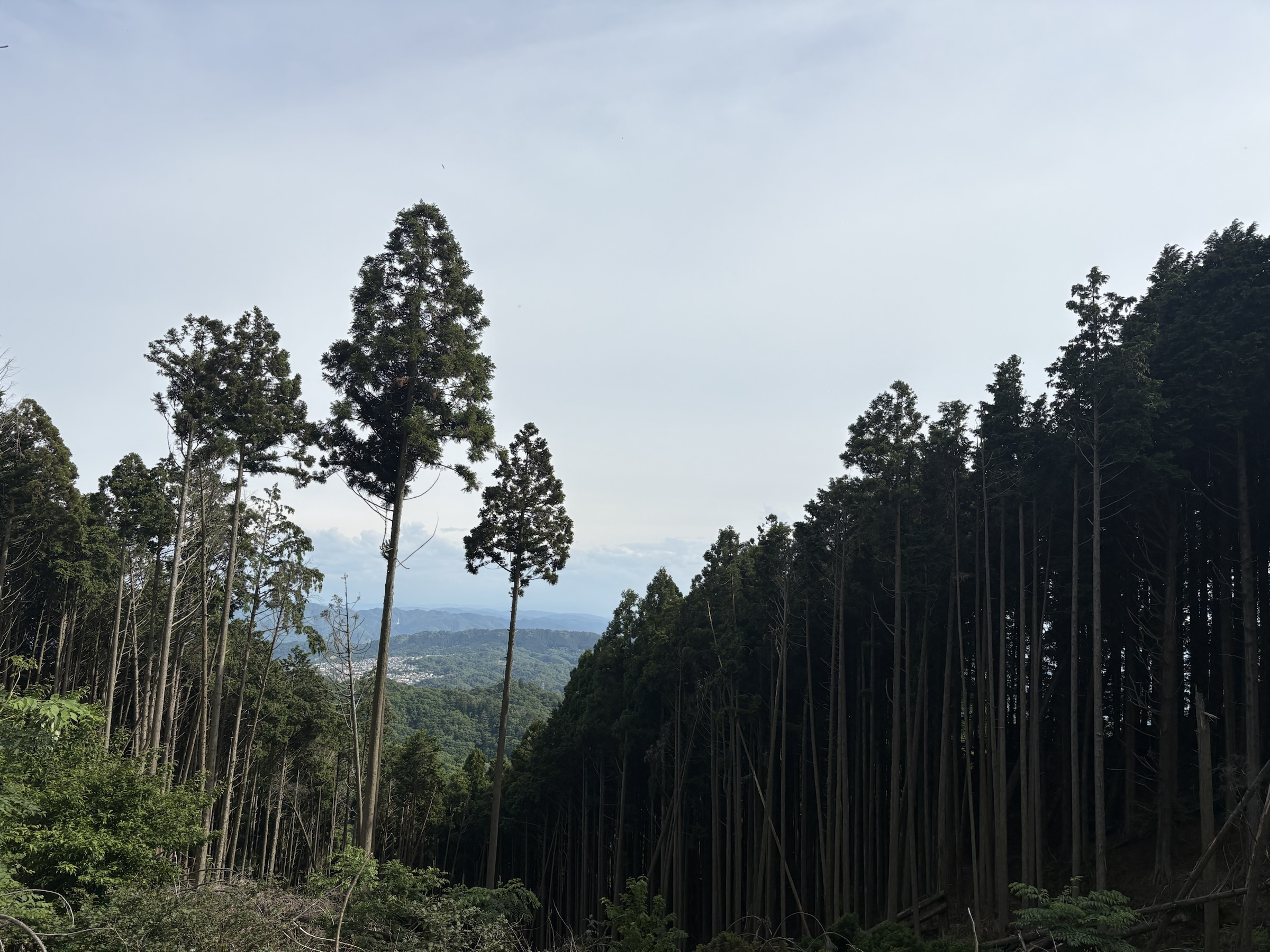 Gallery photo captured on May 28, 2025.