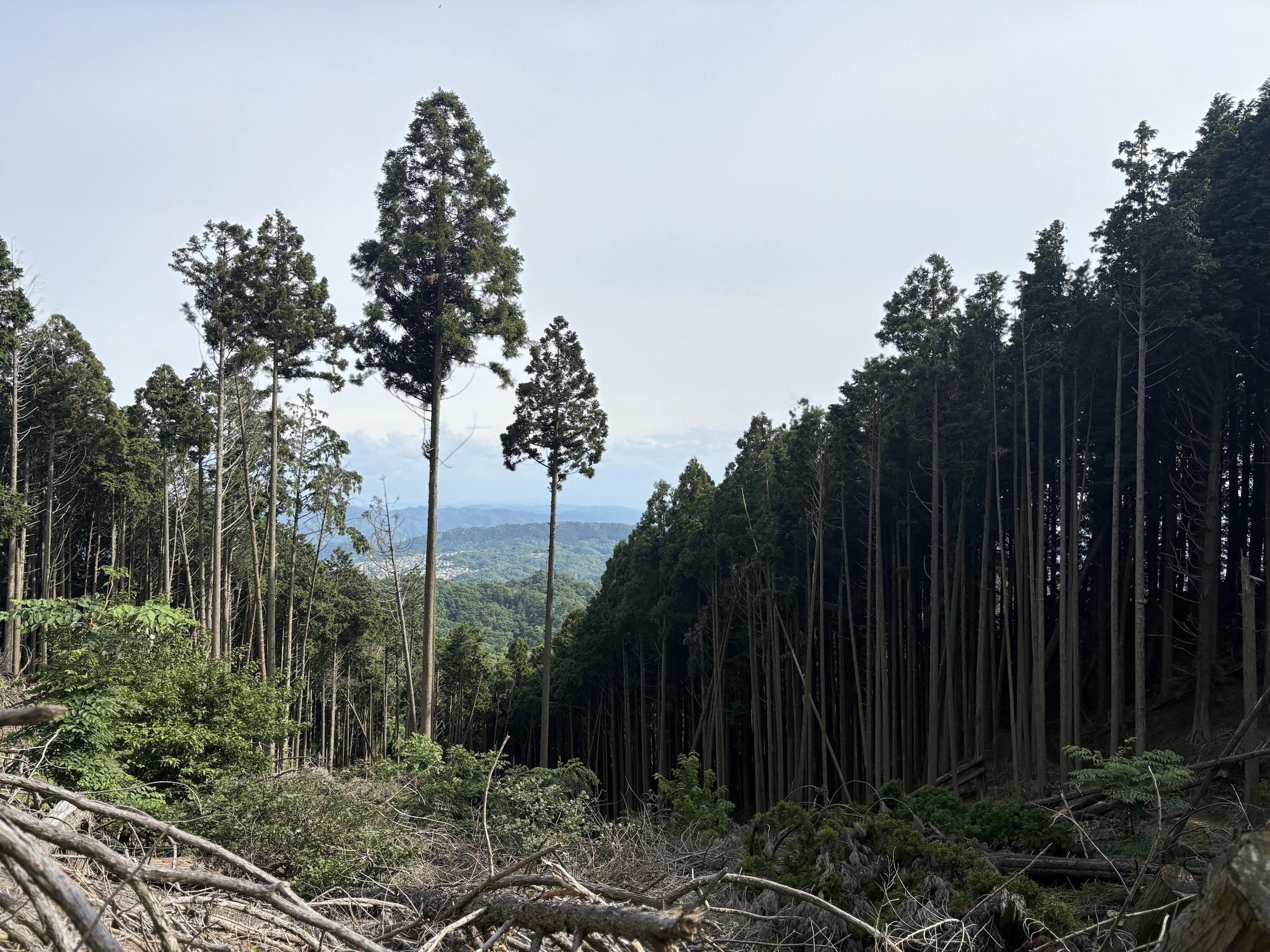 Gallery photo captured on May 28, 2025.