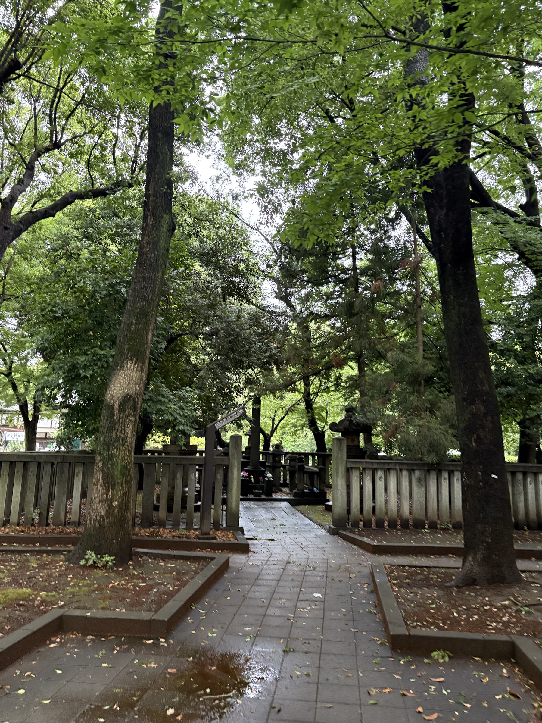 Gallery photo captured on May 31, 2025.