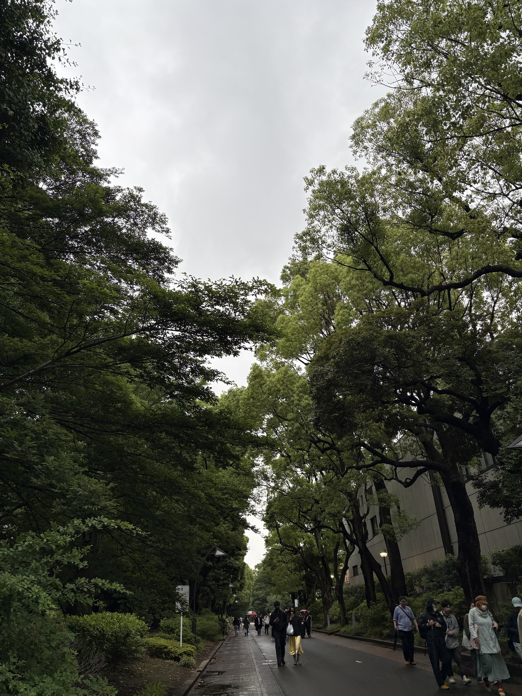 Gallery photo captured on May 31, 2025.