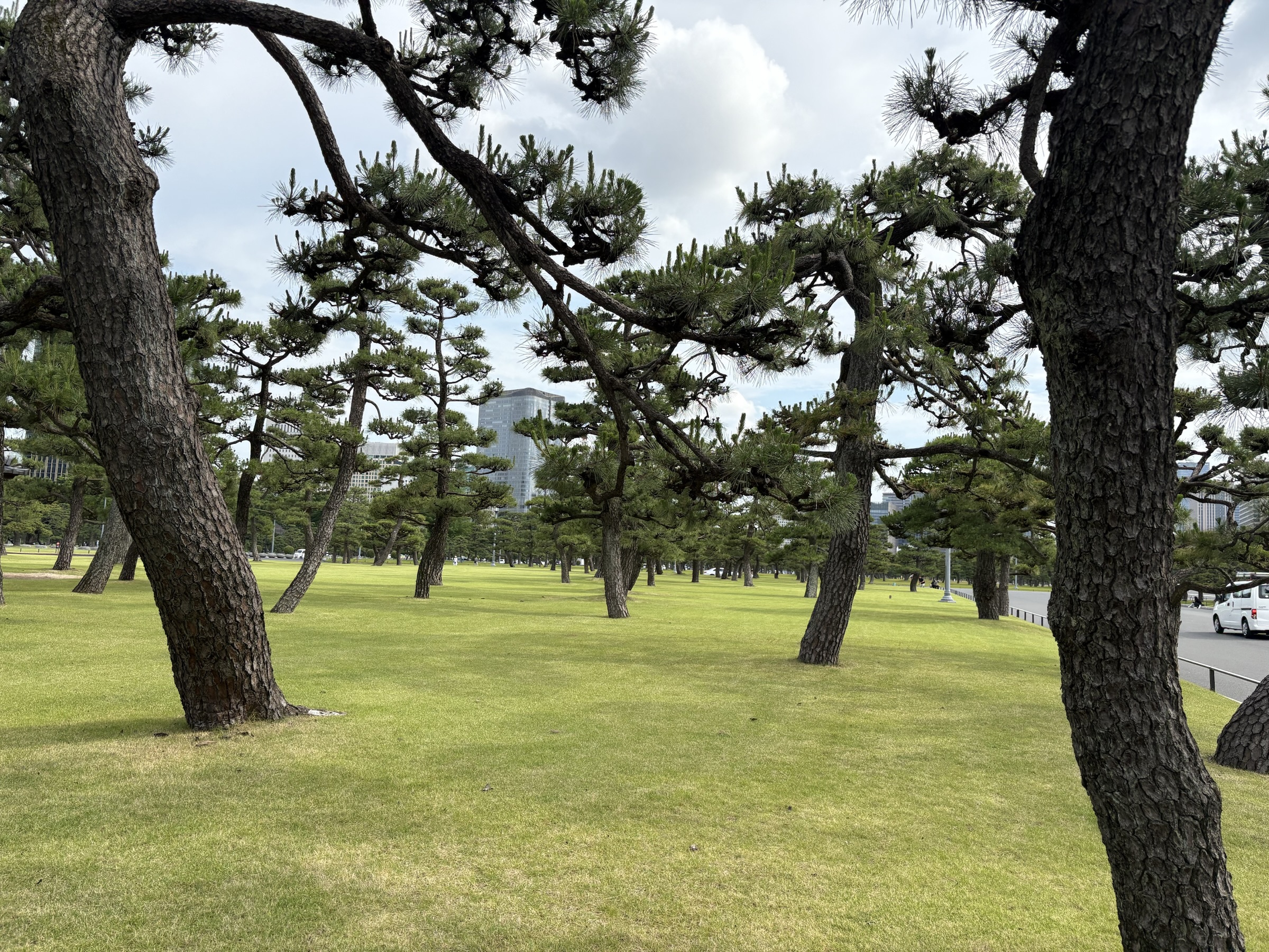 Gallery photo captured on June 2, 2025.