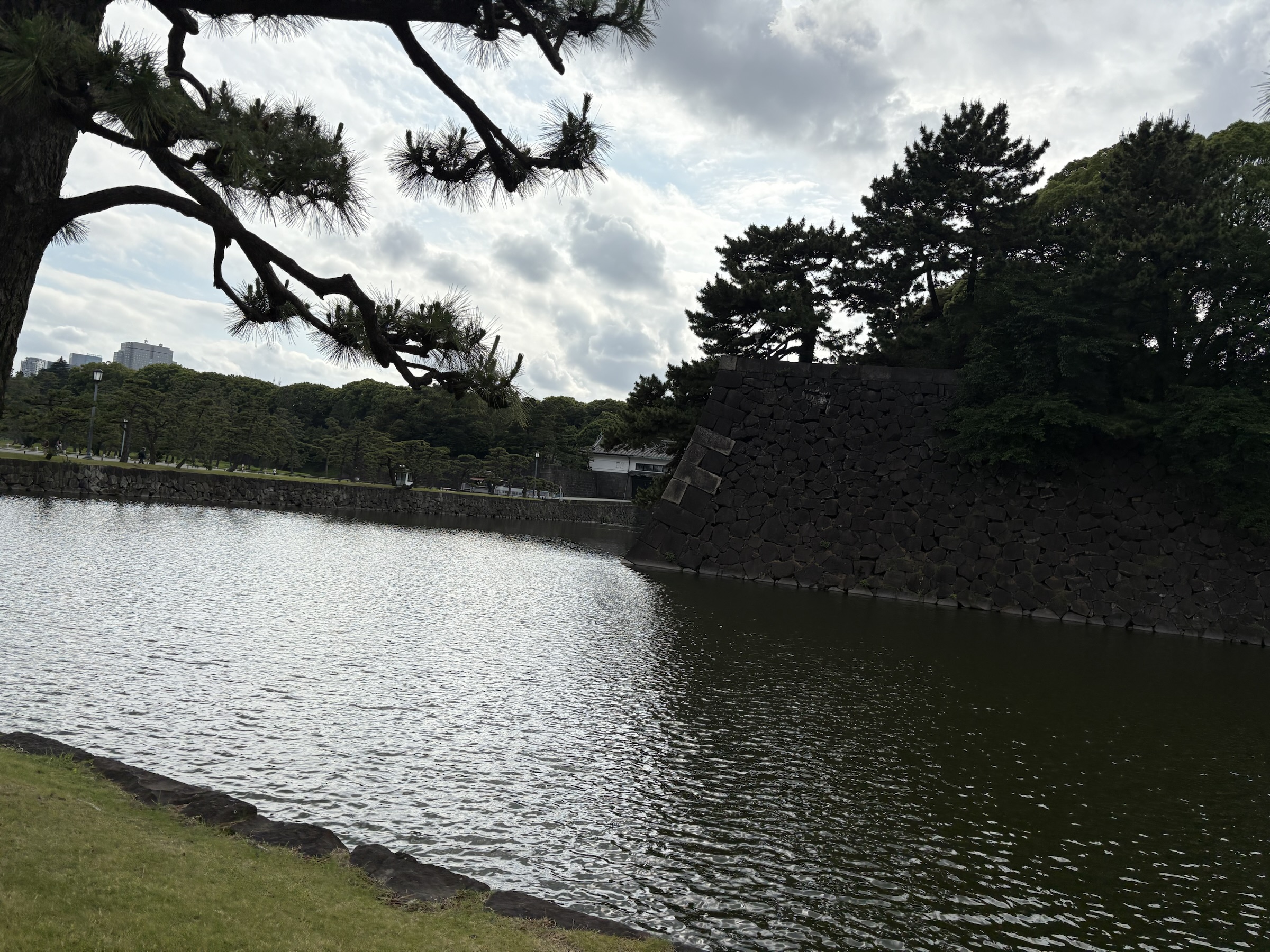 Gallery photo captured on June 2, 2025.