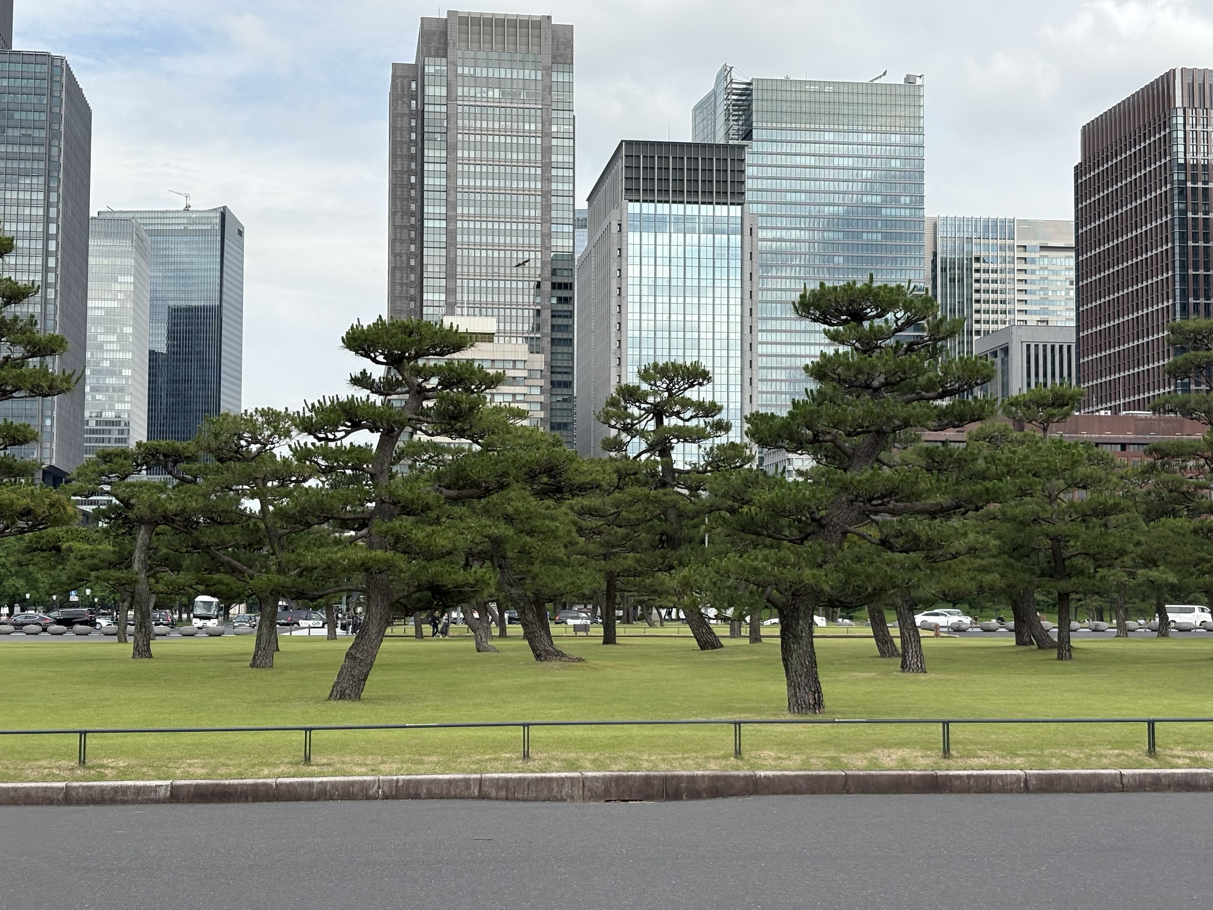 Gallery photo captured on June 2, 2025.