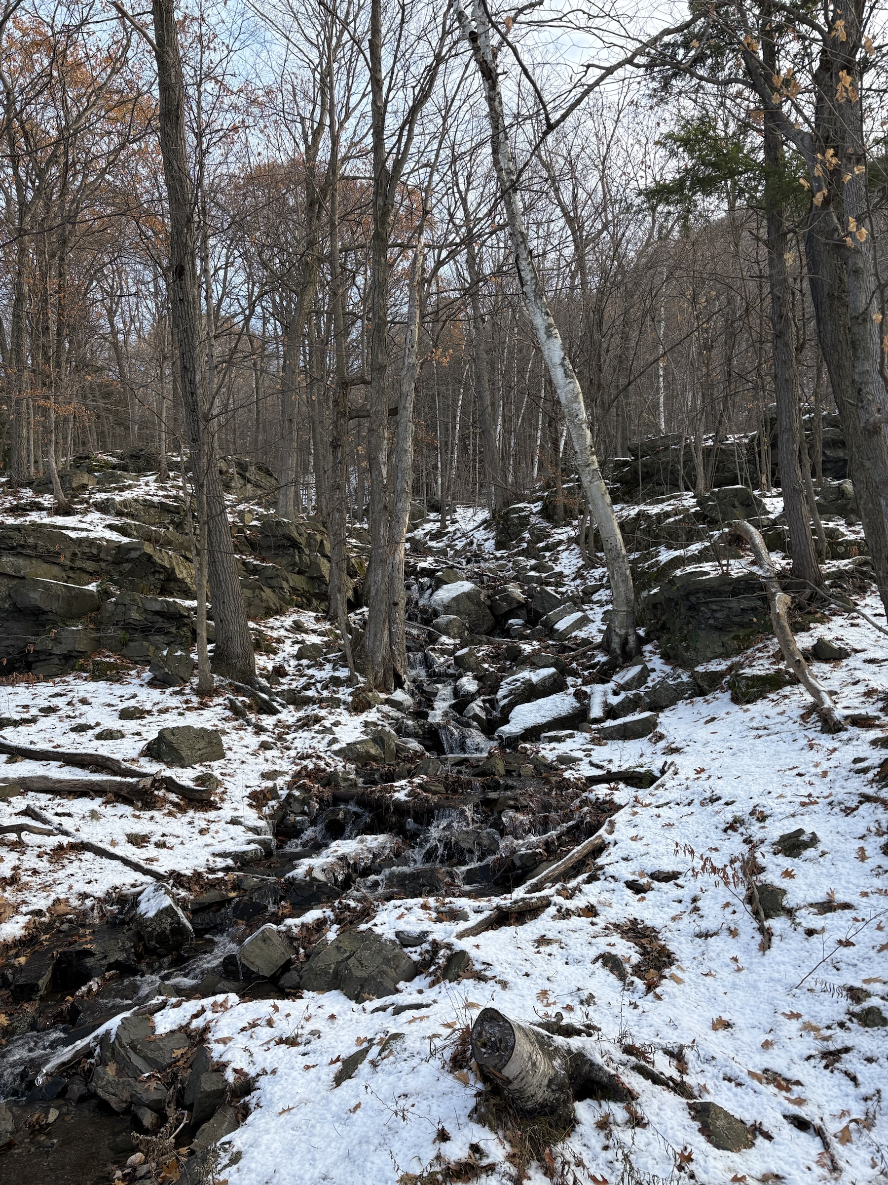 Gallery photo captured on December 1, 2025.