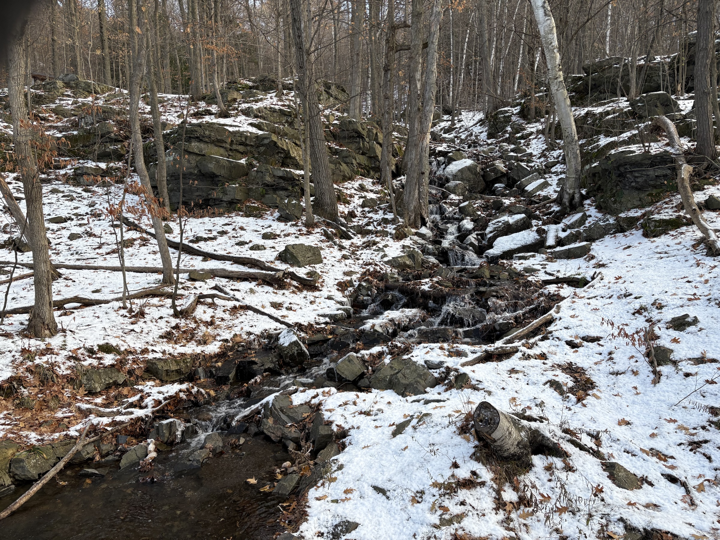 Gallery photo captured on December 1, 2025.