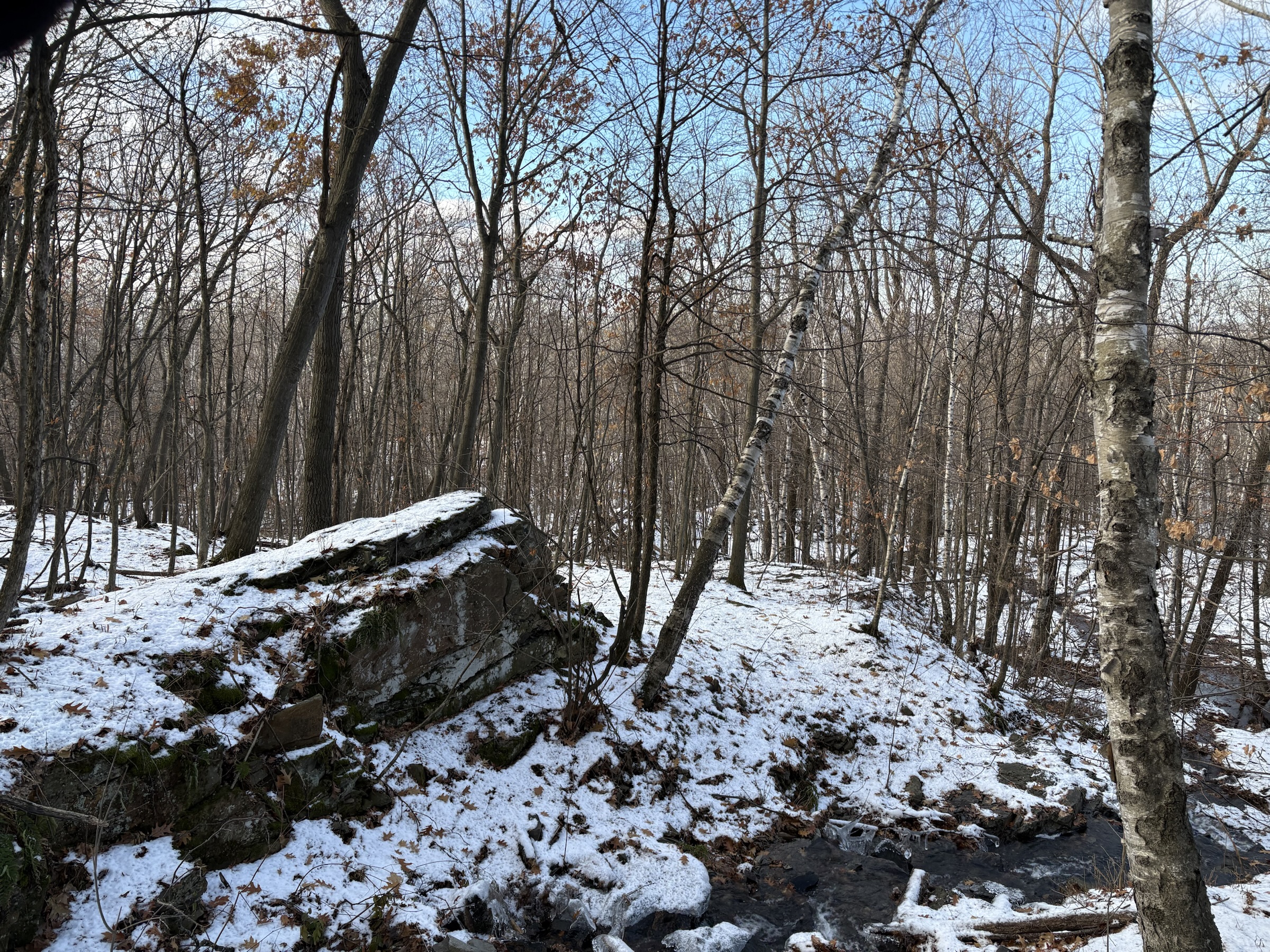 Gallery photo captured on December 1, 2025.