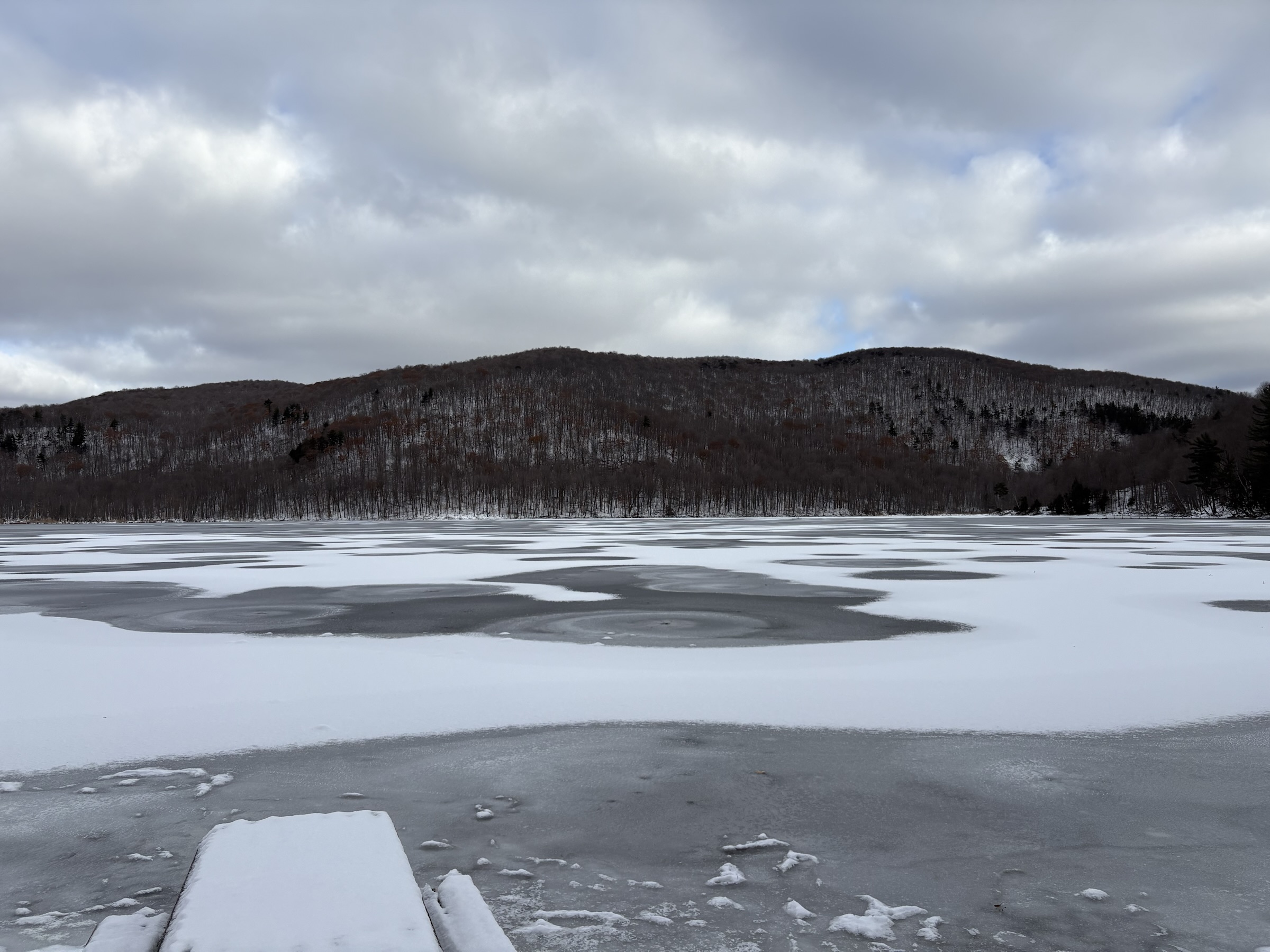 Gallery photo captured on December 1, 2025.